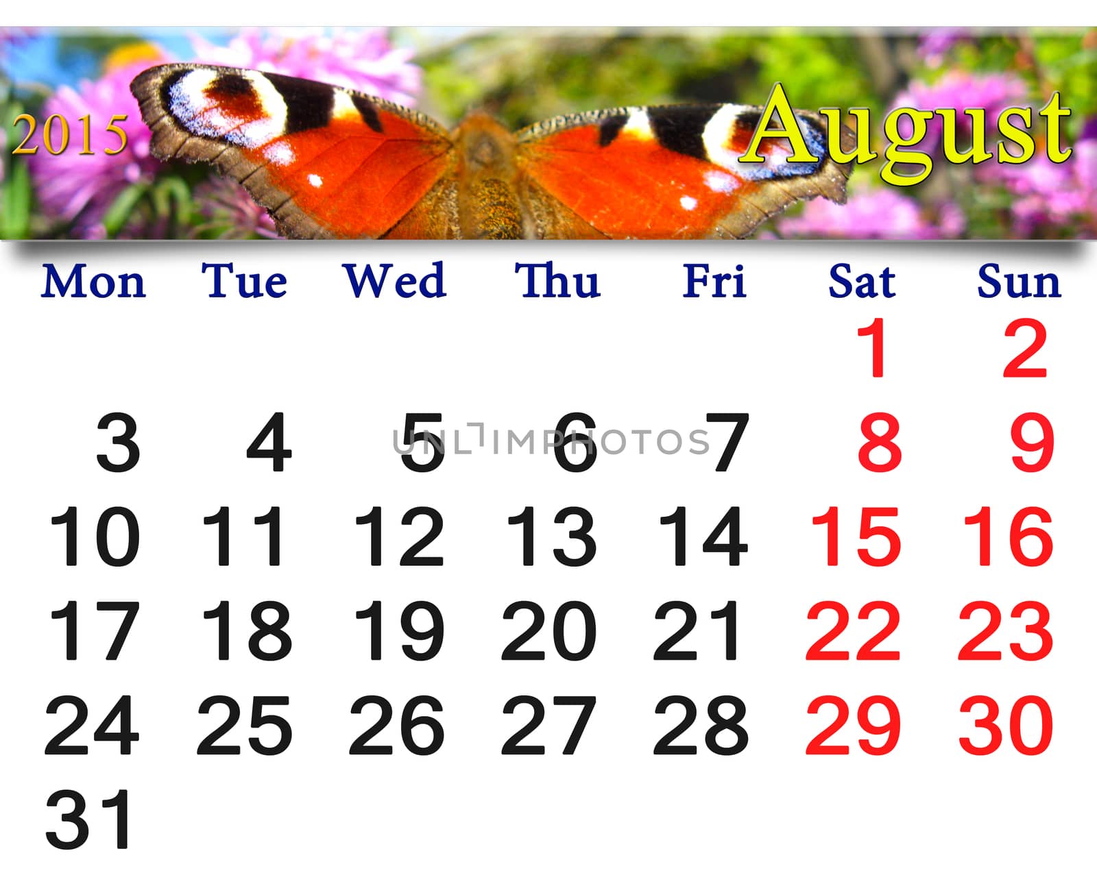 calendar for August of 2015 year with peacock eye by alexmak