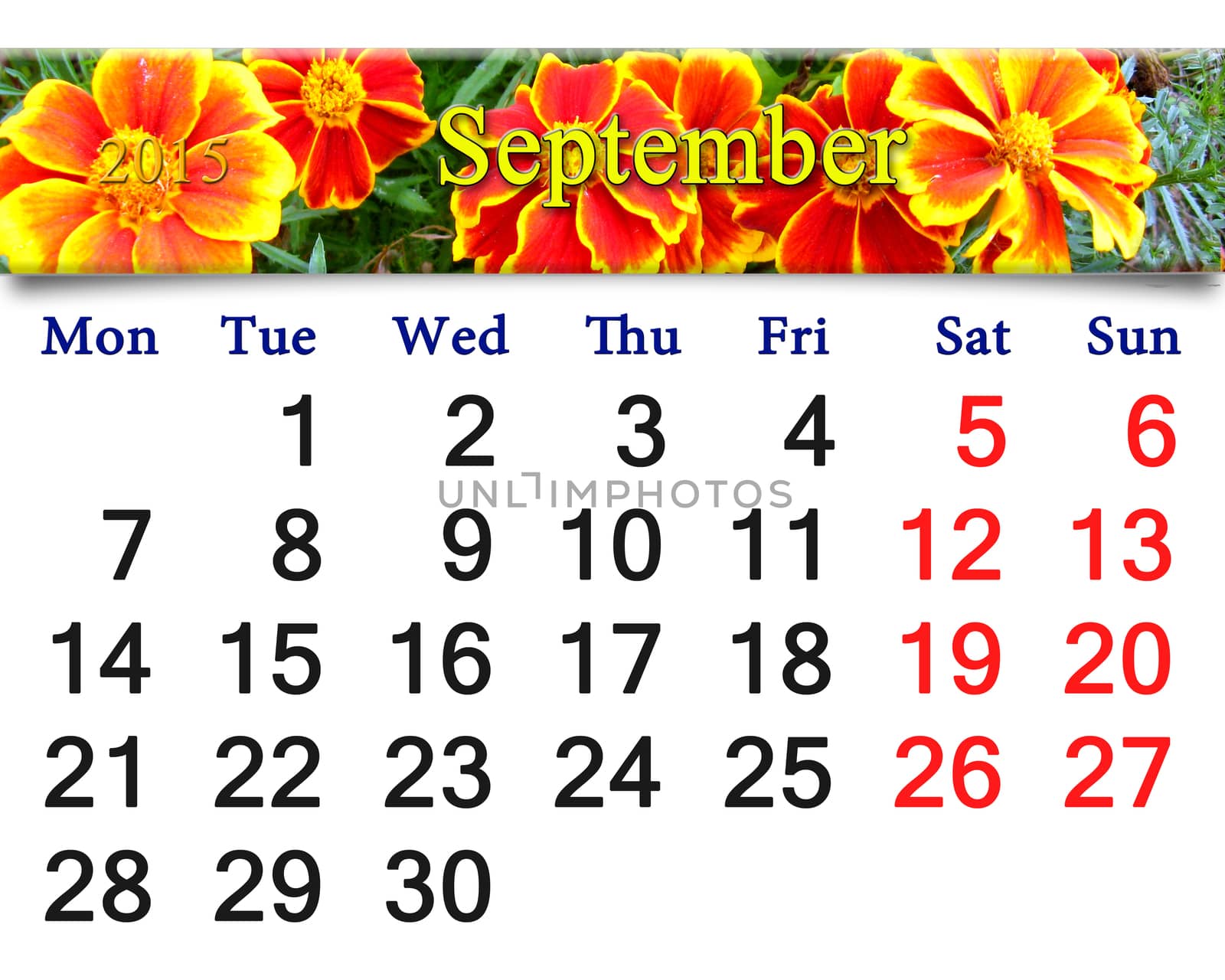 calendar for September of 2015 with the ribbon of flowers of tagetes