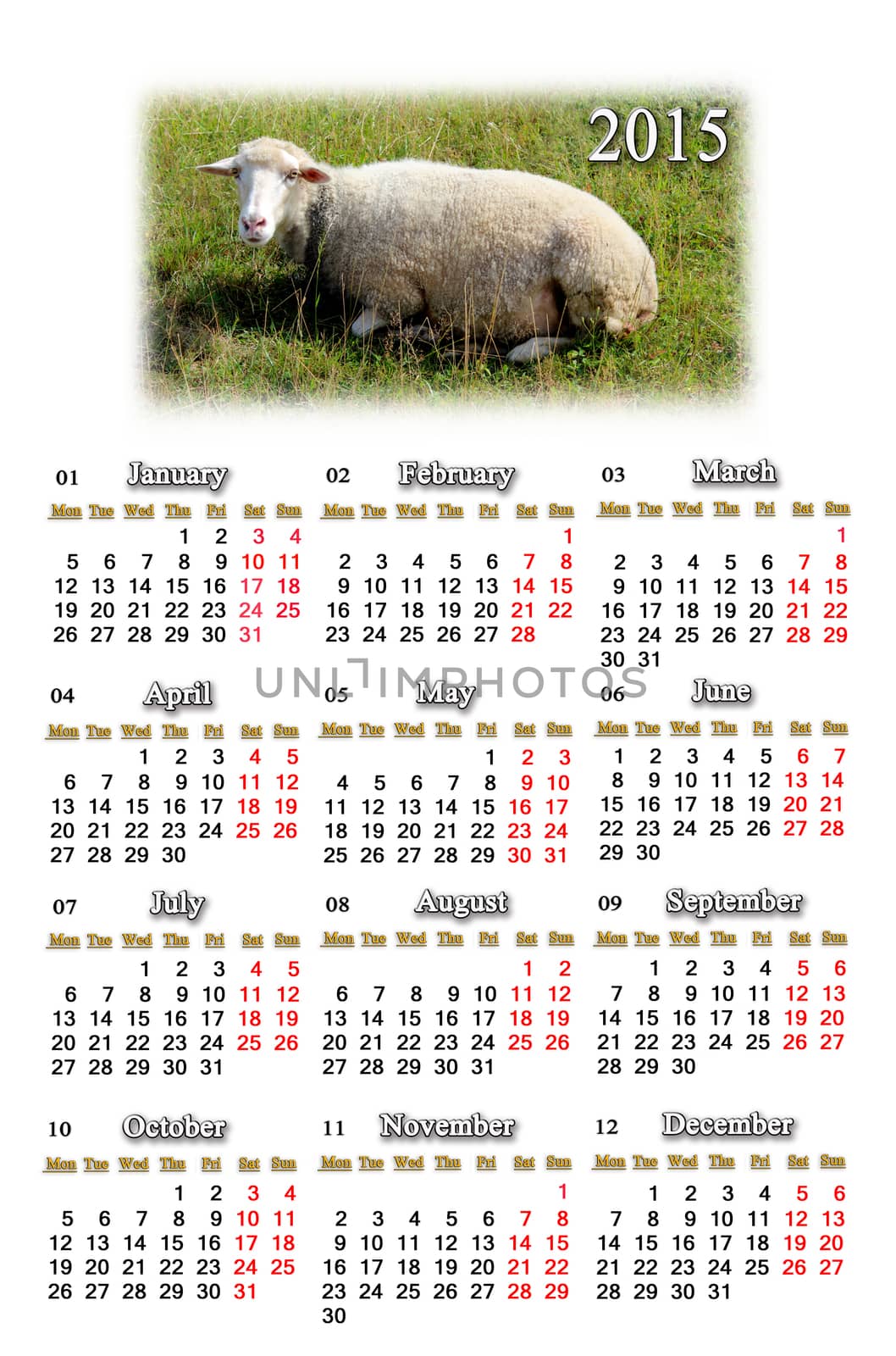 beautiful calendar for 2015 year with sheep on the grass