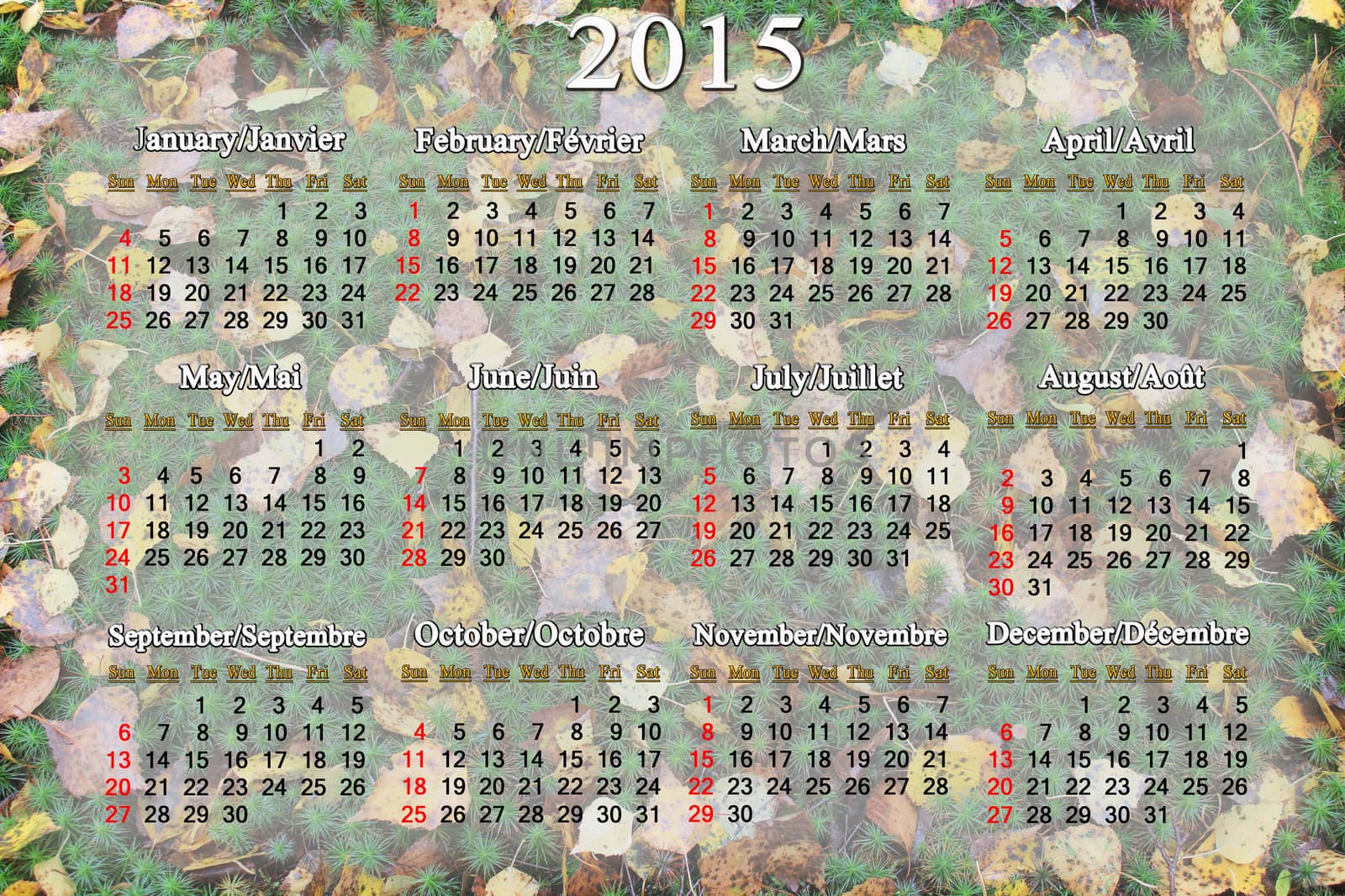 calendar for 2015 year on the background of green moss and autumn leaves