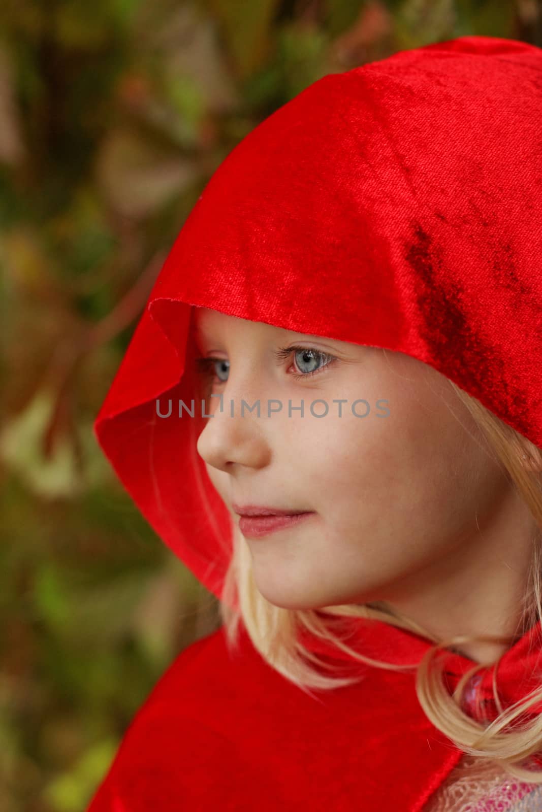 Red Hood by Lessadar