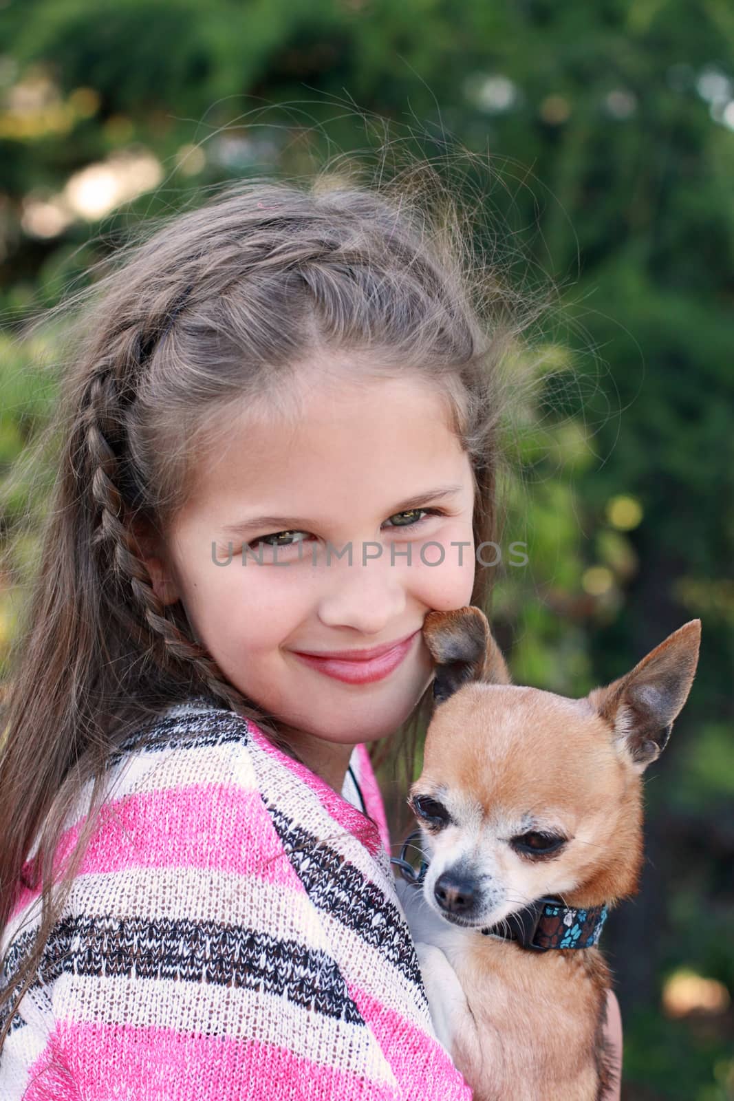 Lovely girl with chihuahua