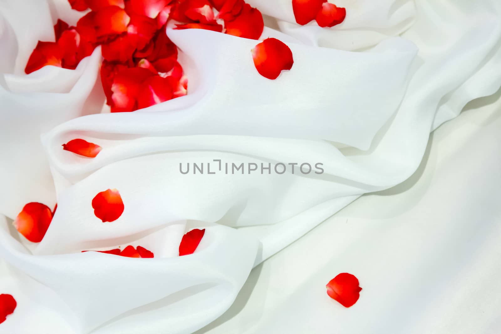 Rose petals on white fabric with background