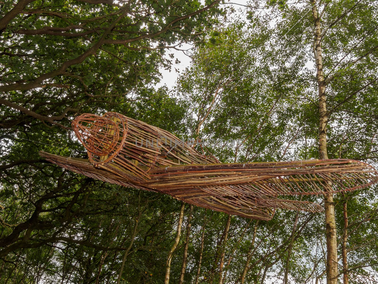 Model airplane made of twigs hanging in a forest