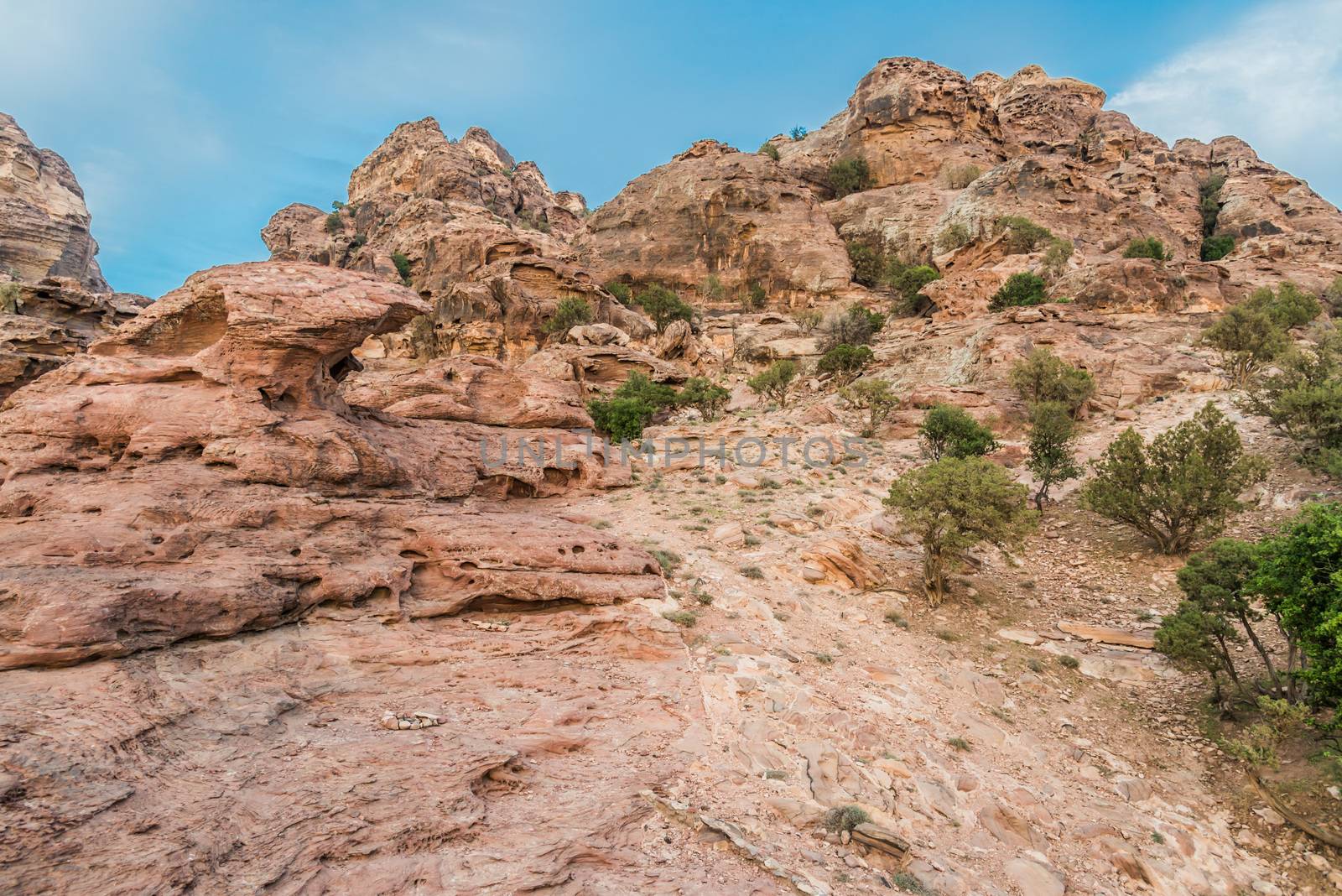 desert scenic near Petra Jordan by PIXSTILL