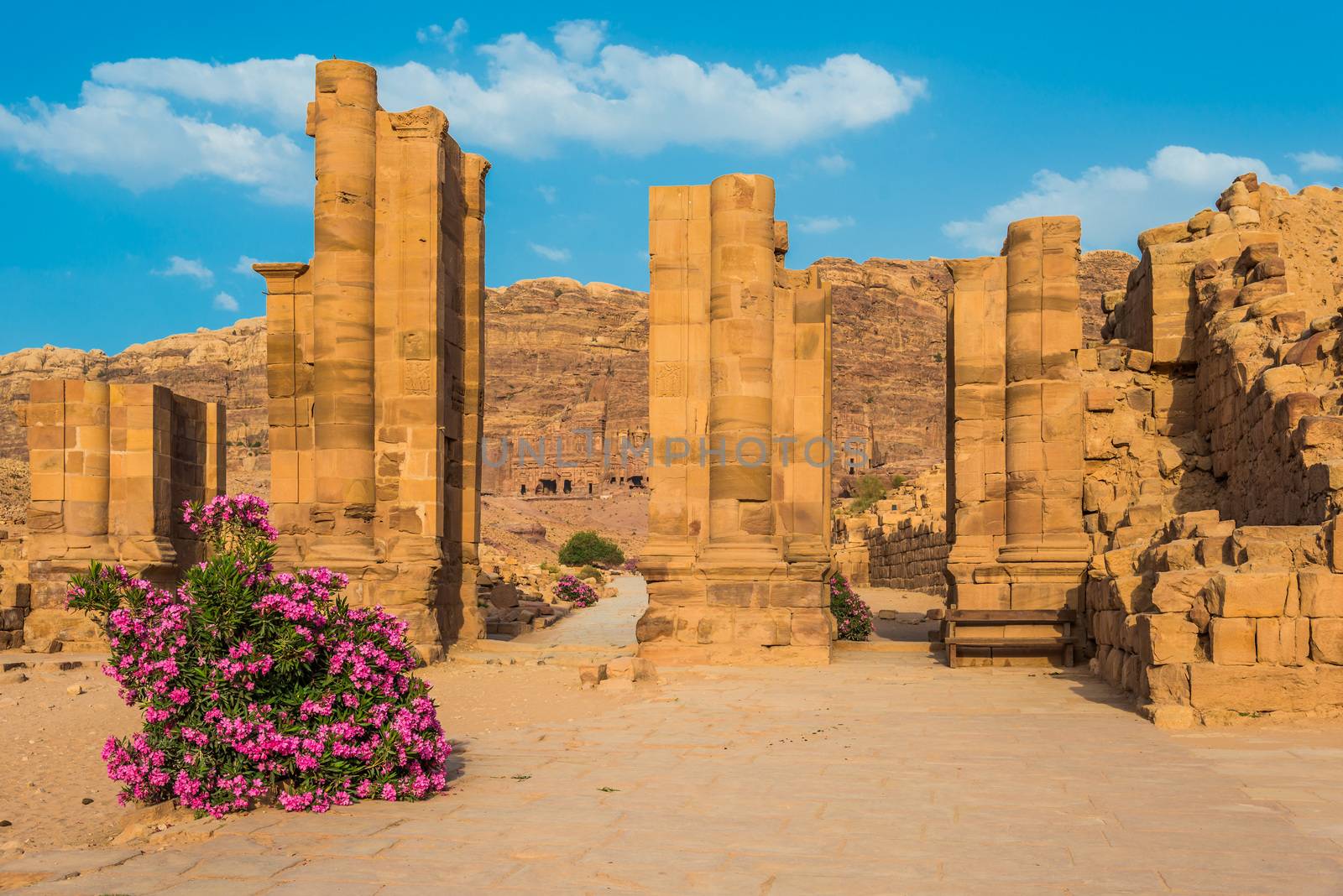 The Hadrien Gate roman avenue in Nabatean city of  Petra Jordan by PIXSTILL