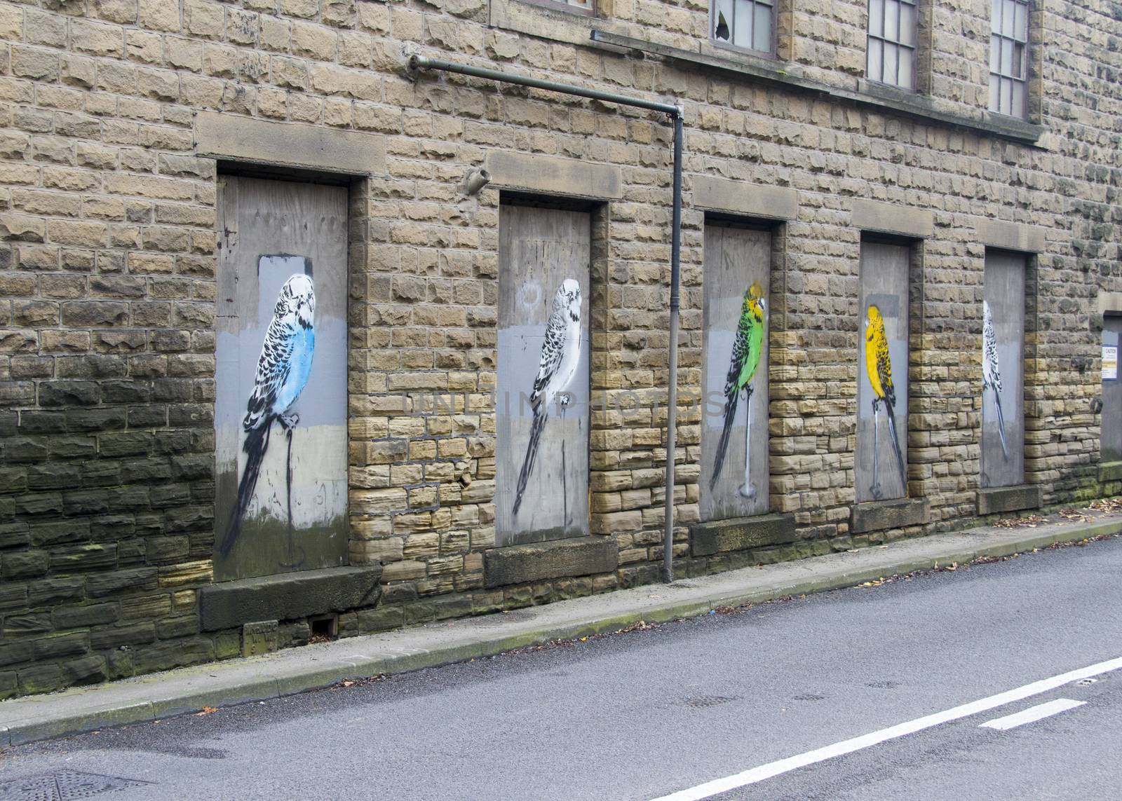 Budgie graffiti on a boarded up window