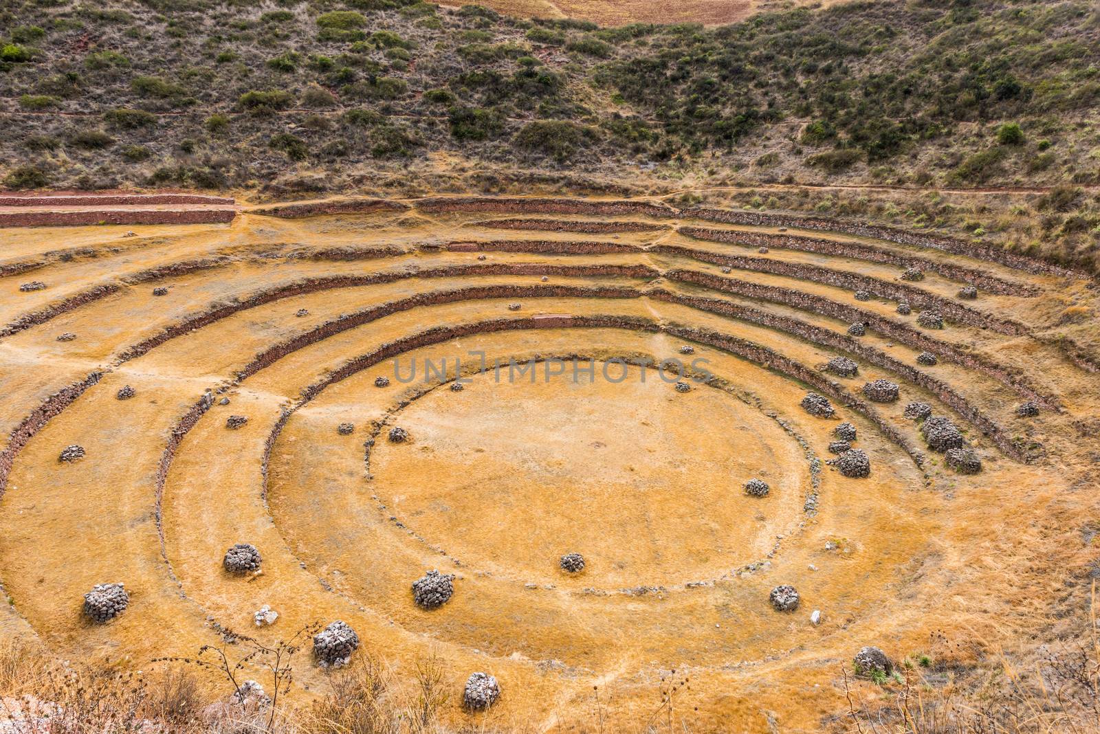 Moray ruins peruvian Andes  Cuzco Peru by PIXSTILL