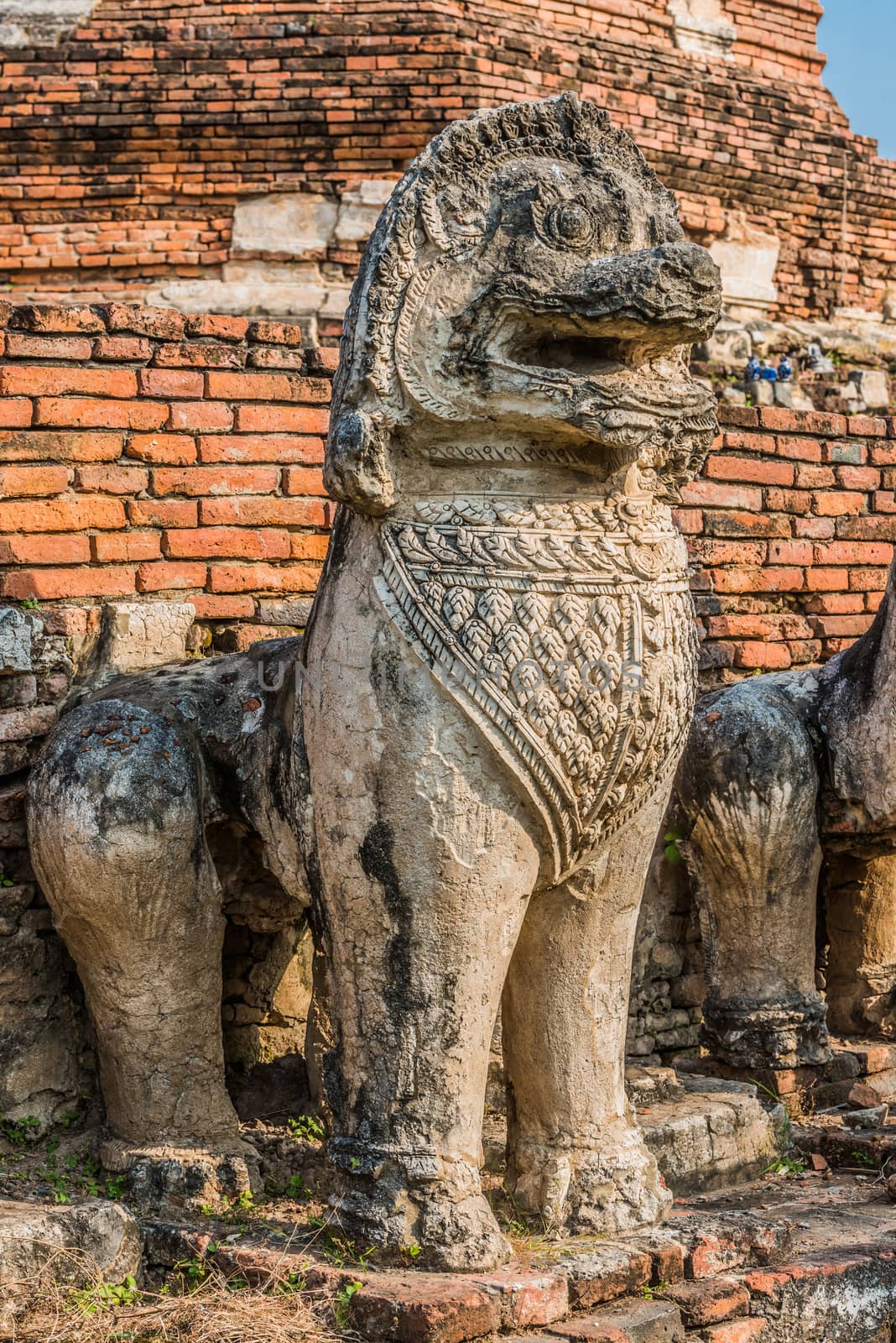lion statue Wat Thammikarat temple Ayutthaya bangkok Thailand by PIXSTILL