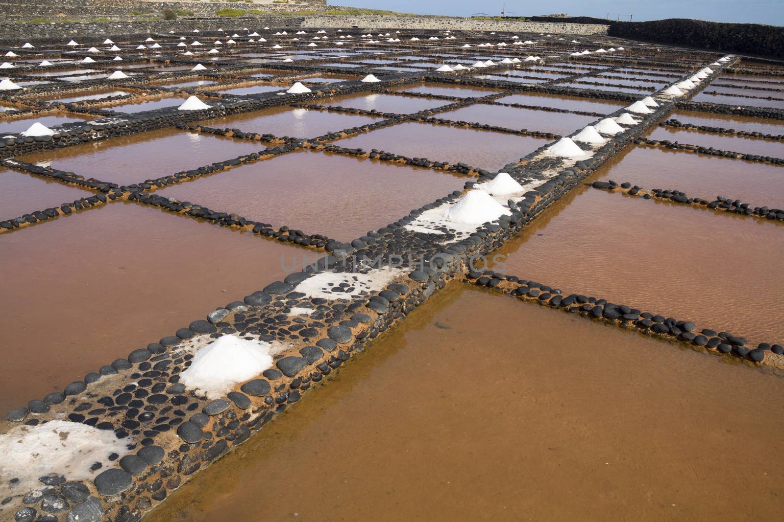 Fresh sea salt  Salinas del Carmen  Fuerteventura