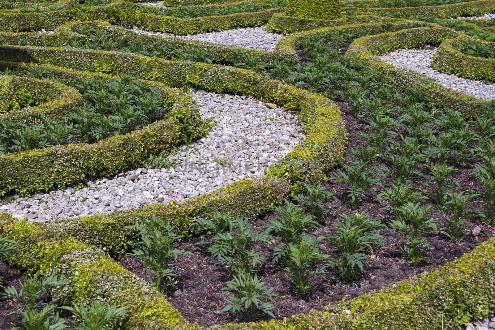 Beautiful geometrical design Formal garden