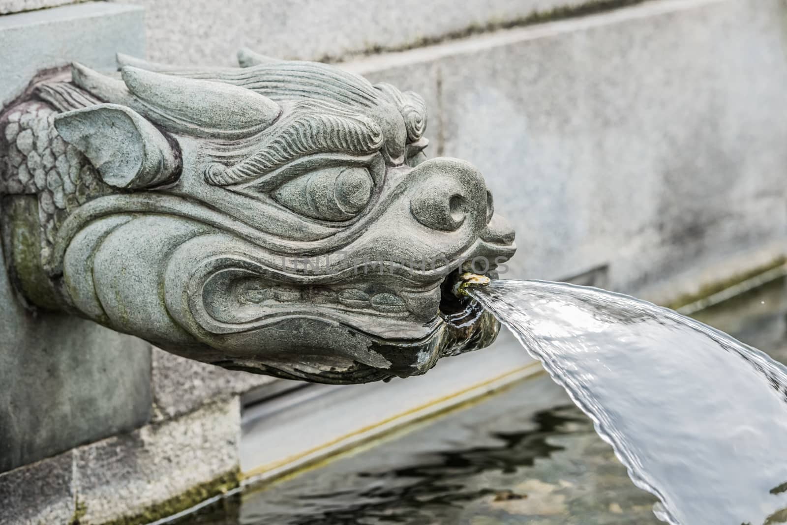 dragon fountain Chi Lin Nunnery Kowloon in Hong Kong