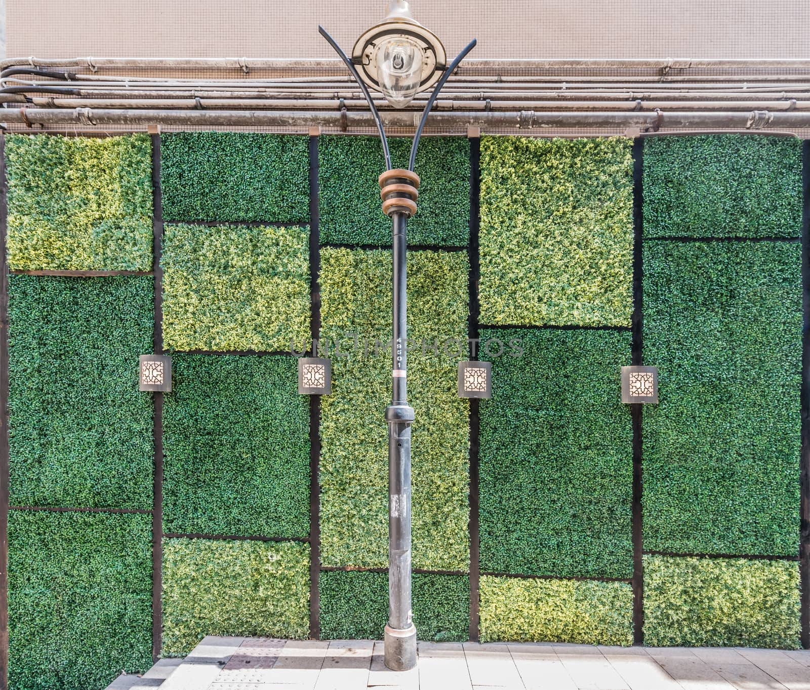 grass wall wall  doors entrance design Soho Central Hong Kong  by PIXSTILL