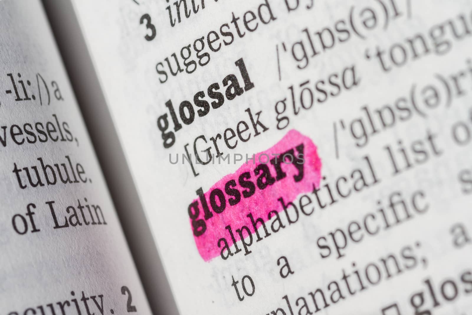 Glossary Dictionary Definition by chris2766