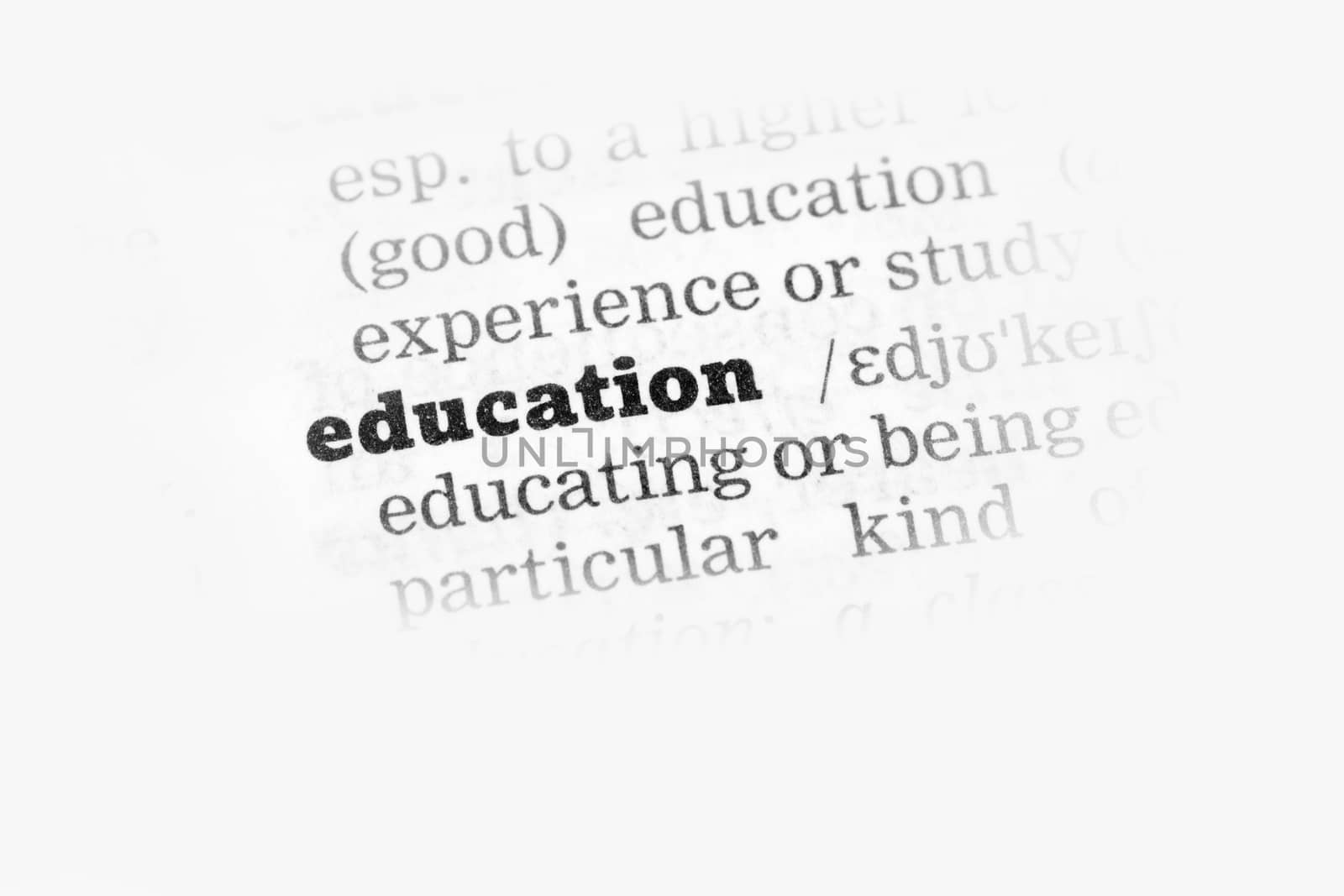 Education   Dictionary Definition single word with soft focus