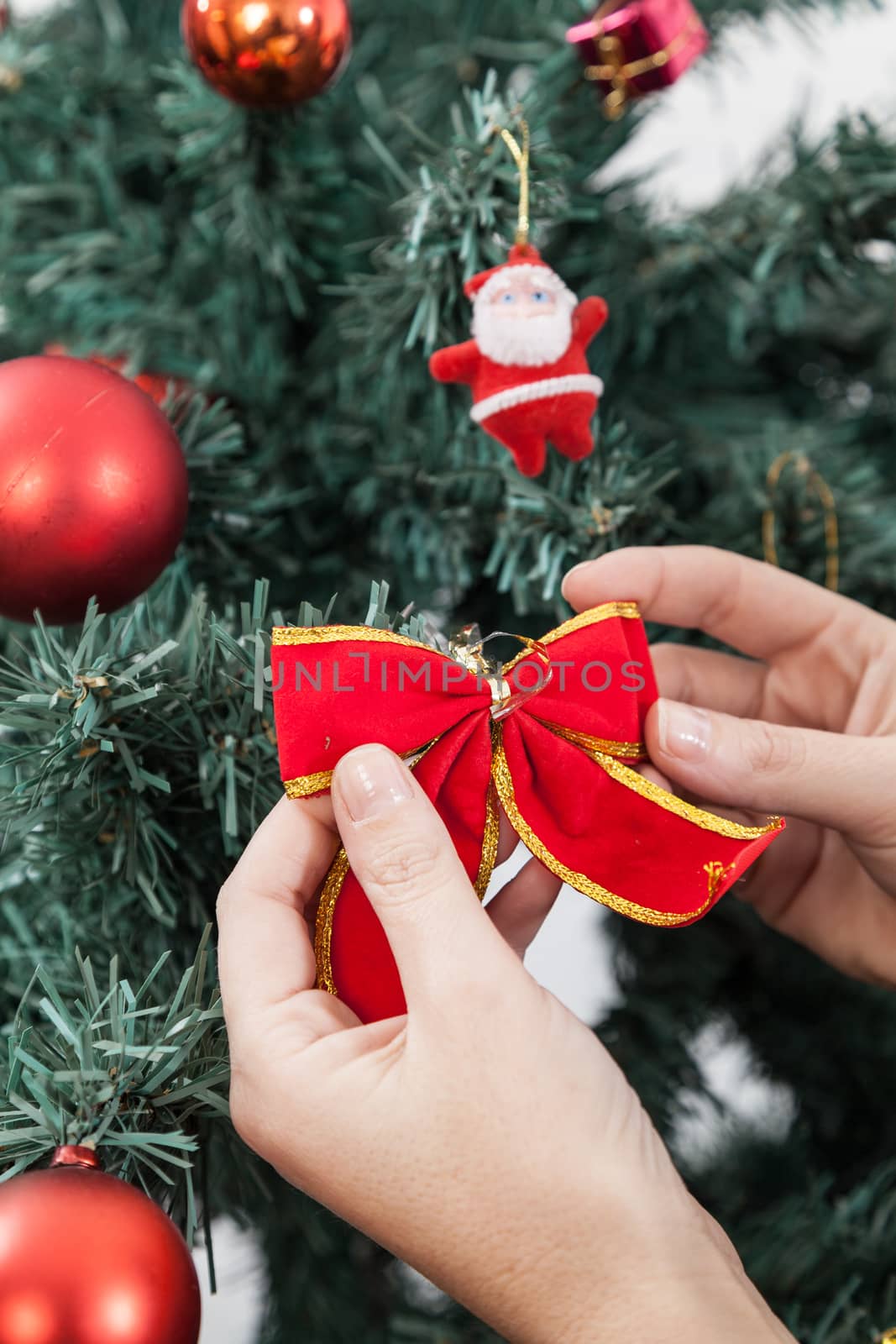30-35, arms, background, balls, beautiful, bow, camera, casual, caucasian, celebration, christmas, cute, december, decorating, decoration, decorative, enjoying, female, festive, fingers, fun, girl, gorgeous, green, hand, hands, happiness, happy, holding, holiday, home, human, joy, lady, look, looking, merry, model, nice, old, one, people, person, portrait, positive, pretty, vertical, property, red, releases, ribbon, season, smile, smiling, tree, white, winter, woman, x-mas, xmas, years, young