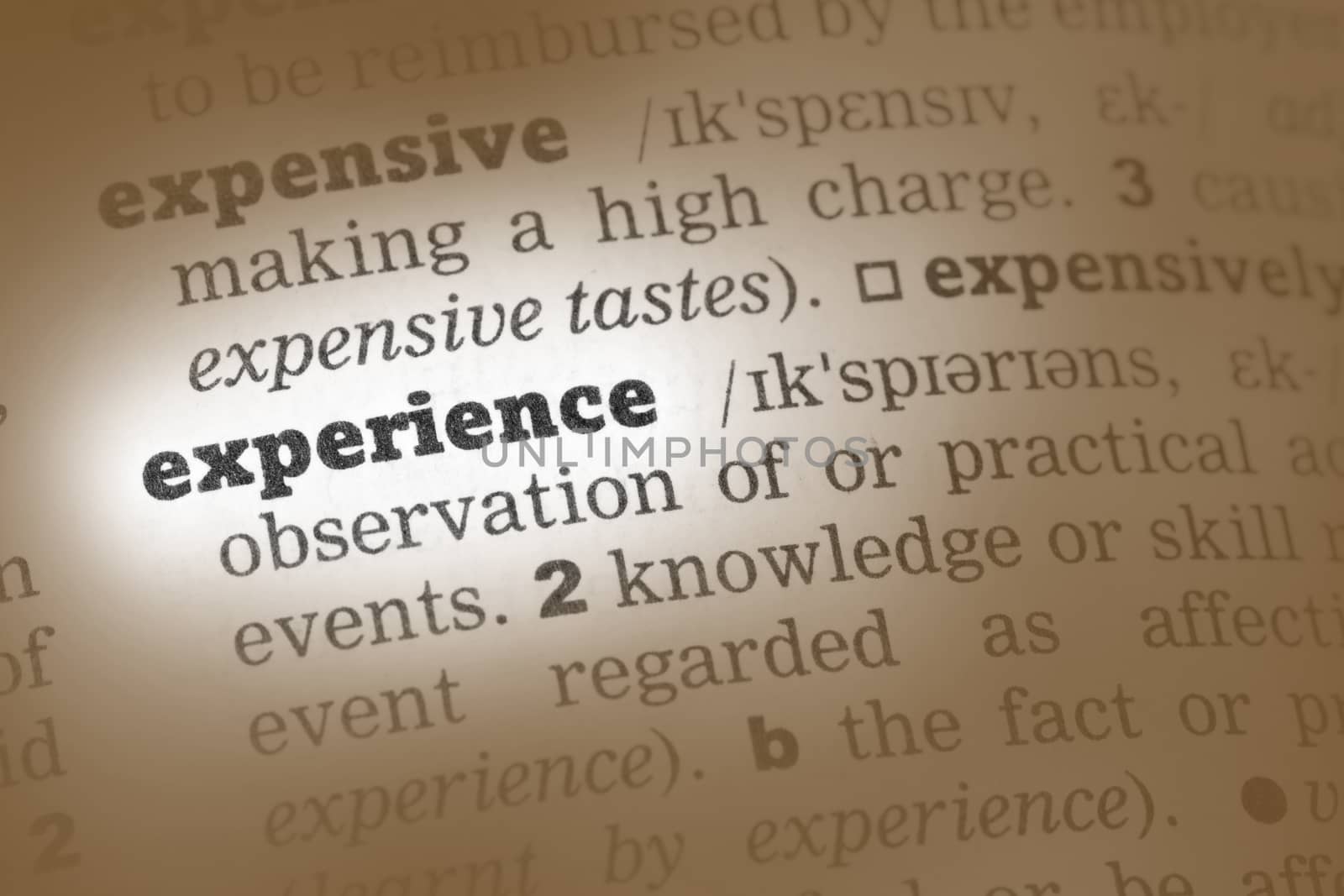 Experience  Dictionary Definition single word with soft focus