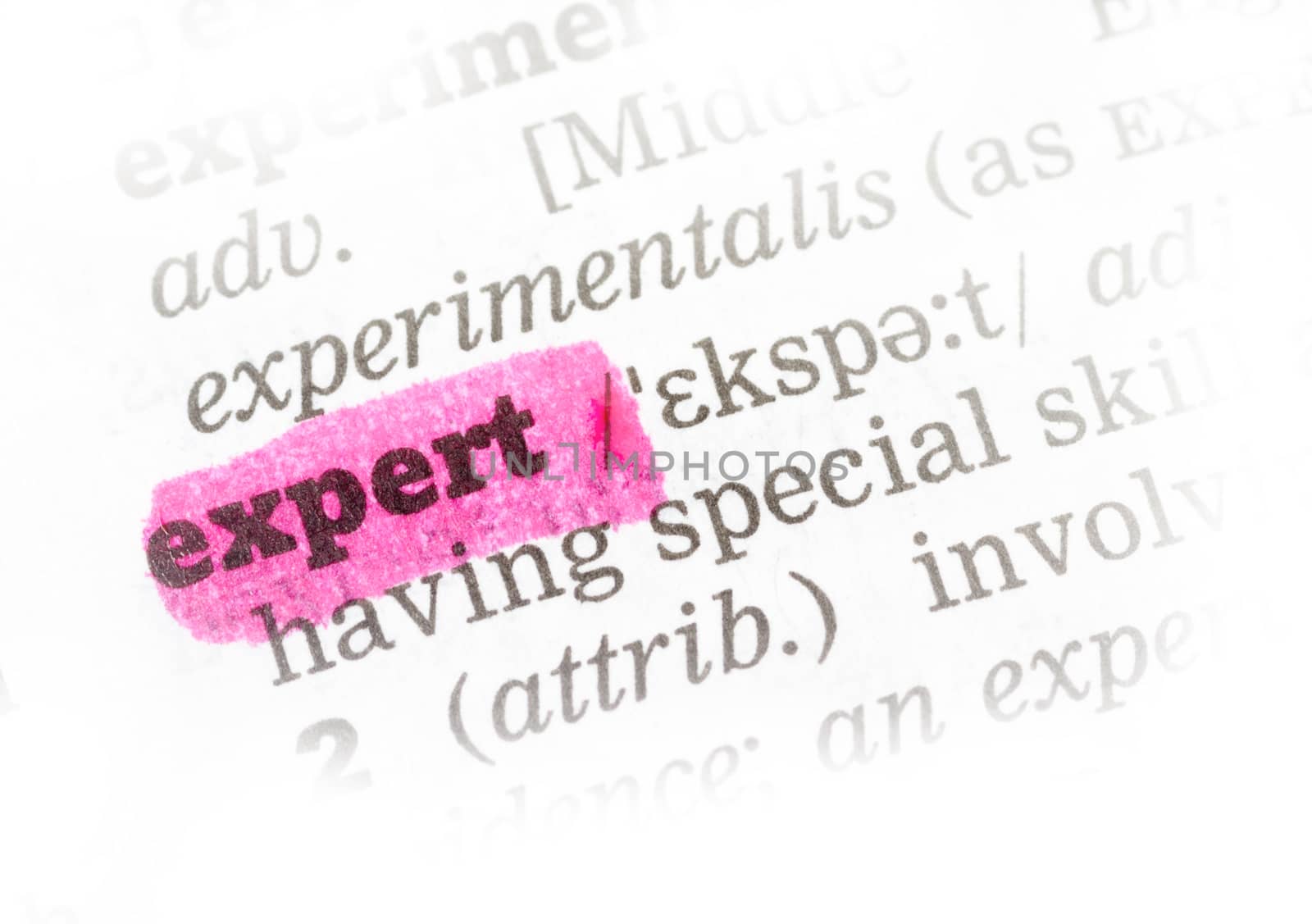 Expert  Dictionary Definition single word with soft focus