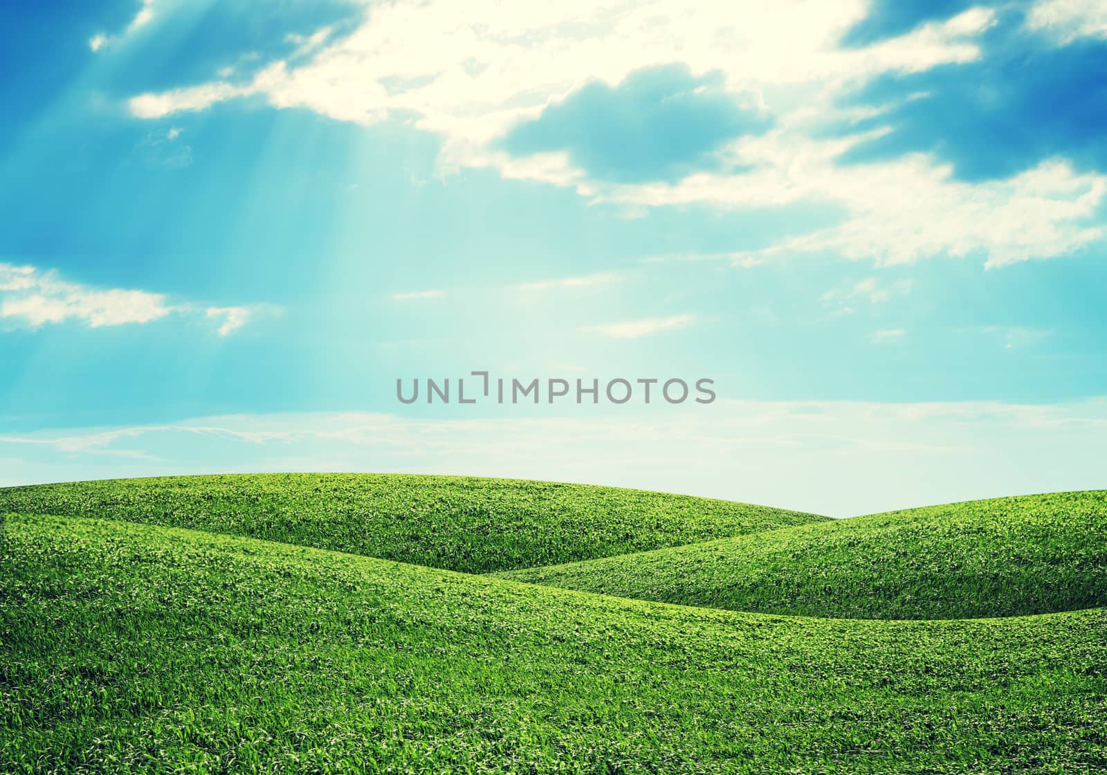 Green hills under bright sky. Nature concept