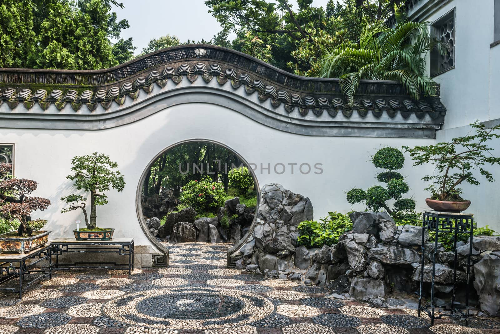 bonsai garden Kowloon Walled City Park Hong Kong  by PIXSTILL