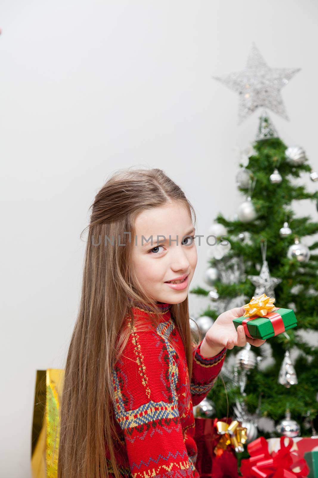 8-10, apartment, background, beautiful, box, camera, caucasian, celebration, christmas, colorful, cute, decoration, festive, gift, gifts, girl, girls, gold, golden, green, hanging, holiday, holidays, home, house, leisure, little, look, looking, merry, model, new, old, one, ornament, person, pine, present, presents, property, red, releases, ribbon, santa, star, time, tree, vertical, white, winter, xmas, year, years