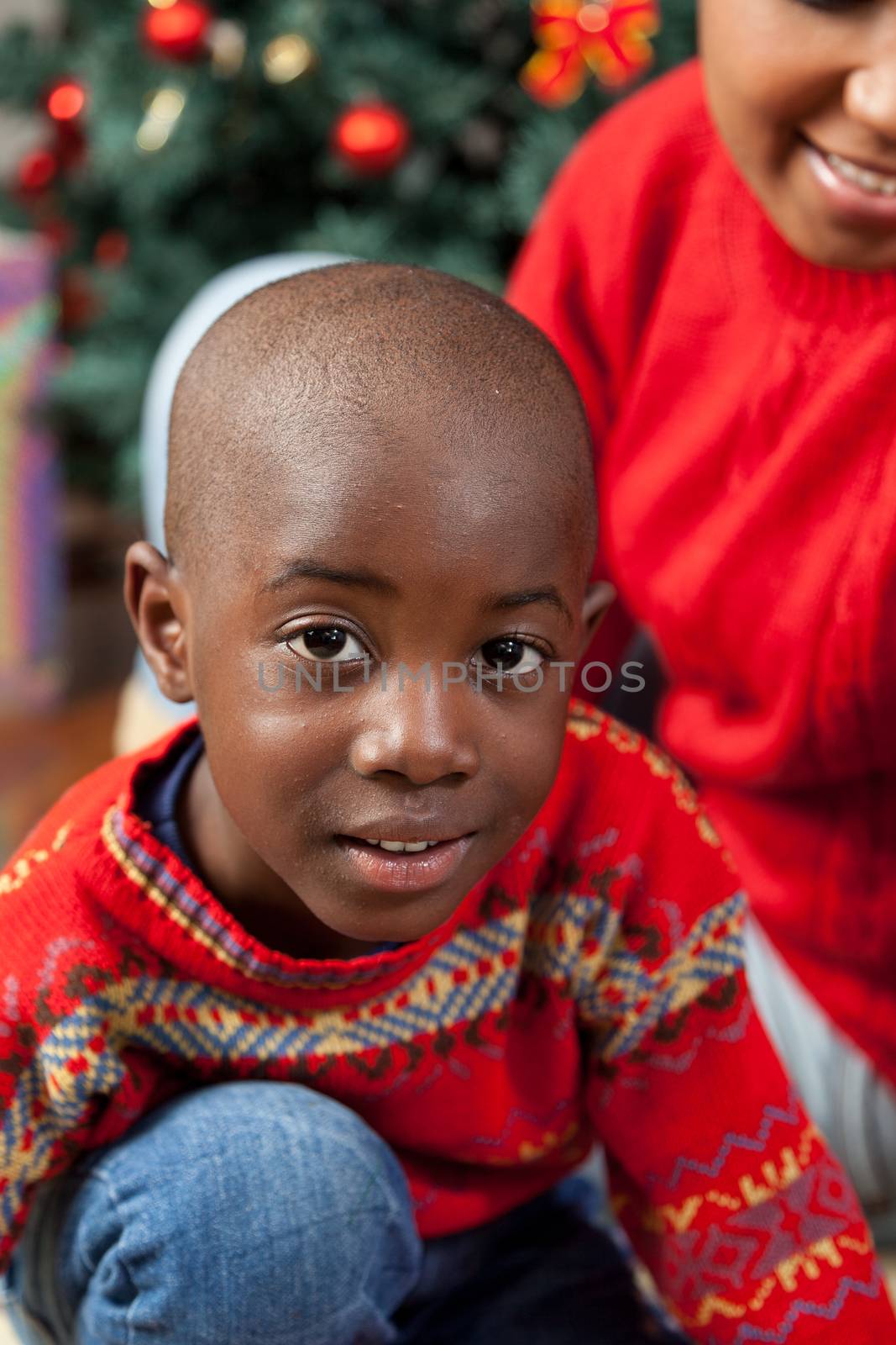 30-35, 4-6, african, at, black, boy, camera, celebration, cheerful, child, childhood, christmas, color, cute, day, decoration, expression, family, happiness, happy, holding, holiday, kid, little, looking, man, model, mother, old, one, person, portrait, property, red, releases, sitting, small, smiling, son, surprise, sweater, tree, vertical, xmas, years