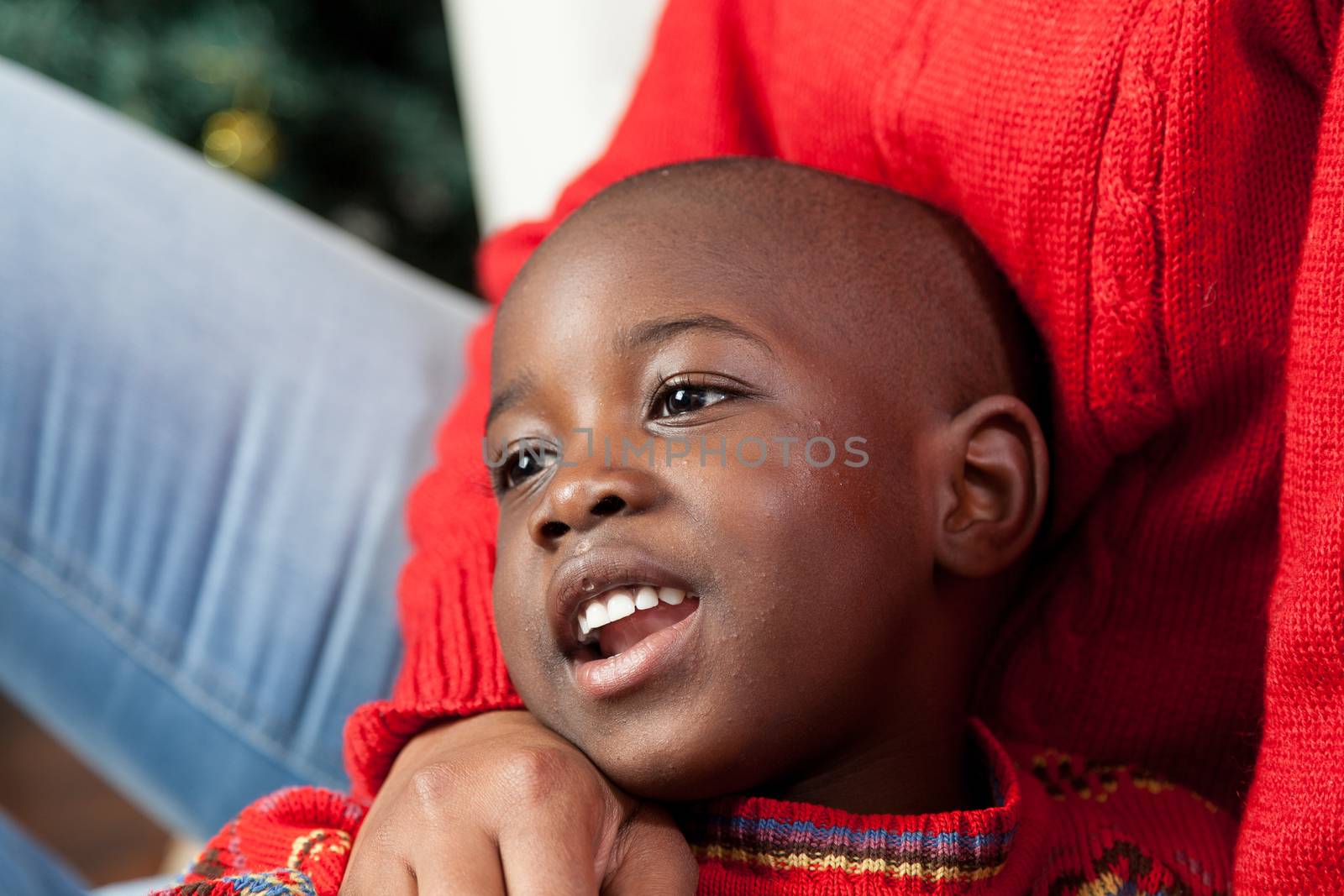 4-6, african, at, black, boy, camera, celebration, cheerful, child, childhood, christmas, color, cute, day, decoration, expression, family, happiness, happy, holding, holiday, horizontal, kid, little, looking, man, model, mother, old, one, person, portrait, property, red, releases, sitting, small, smiling, son, surprise, sweater, tree, xmas, years