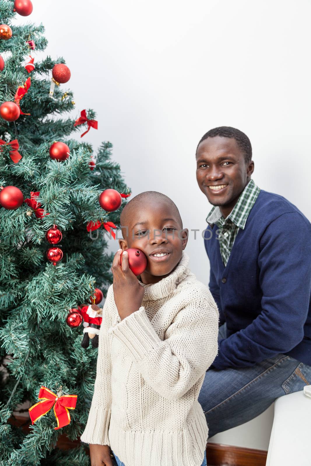 30-35, 4-6, african, apartment, ball, balls, black, boy, celebration, child, christmas, cute, decoration, family, festive, happy, home, homey, house, joyful, kid, life, lifestyle, little, living, love, male, model, old, one, person, portrait, pretty, property, relationship, releases, room, time, tree, vertical, years, young, father, smile