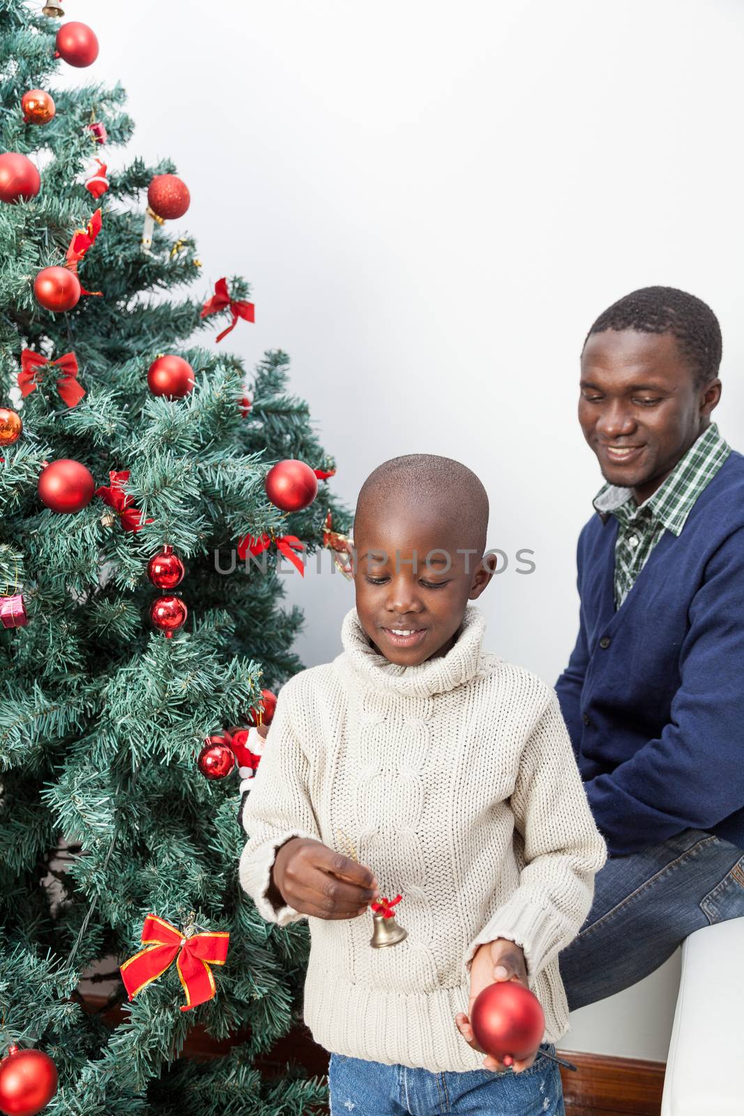 30-35, 4-6, african, apartment, ball, balls, black, boy, celebration, child, christmas, cute, decoration, family, festive, happy, home, homey, house, joyful, kid, life, lifestyle, little, living, love, male, model, old, one, person, portrait, pretty, property, relationship, releases, room, time, tree, vertical, years, young, father, smile