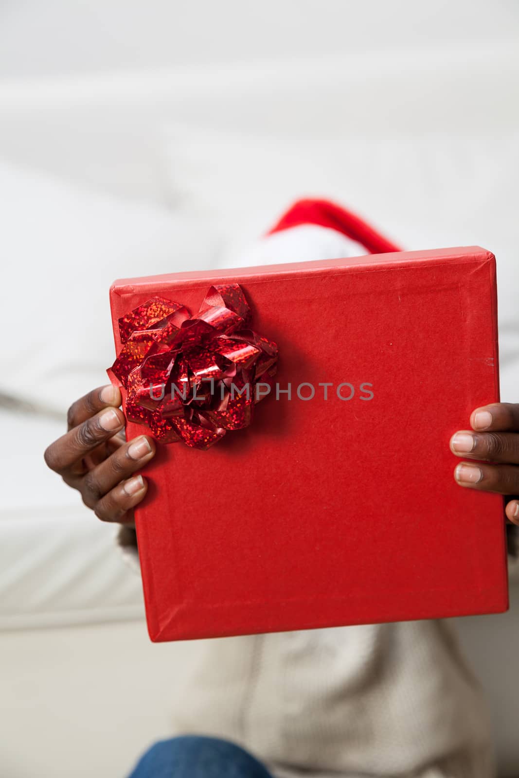 30-35, african, apartment, attractive, beautiful, beauty, black, cheerful, christmas, cover, cute, decoration, face, festive, festivity, gift, happy, hat, head, hold, holidays, home, homey, house, household, joyful, leisure, lifestyle, living, man, model, old, one, person, portrait, property, releases, room, sofa, sweater, time, vertical, years, young