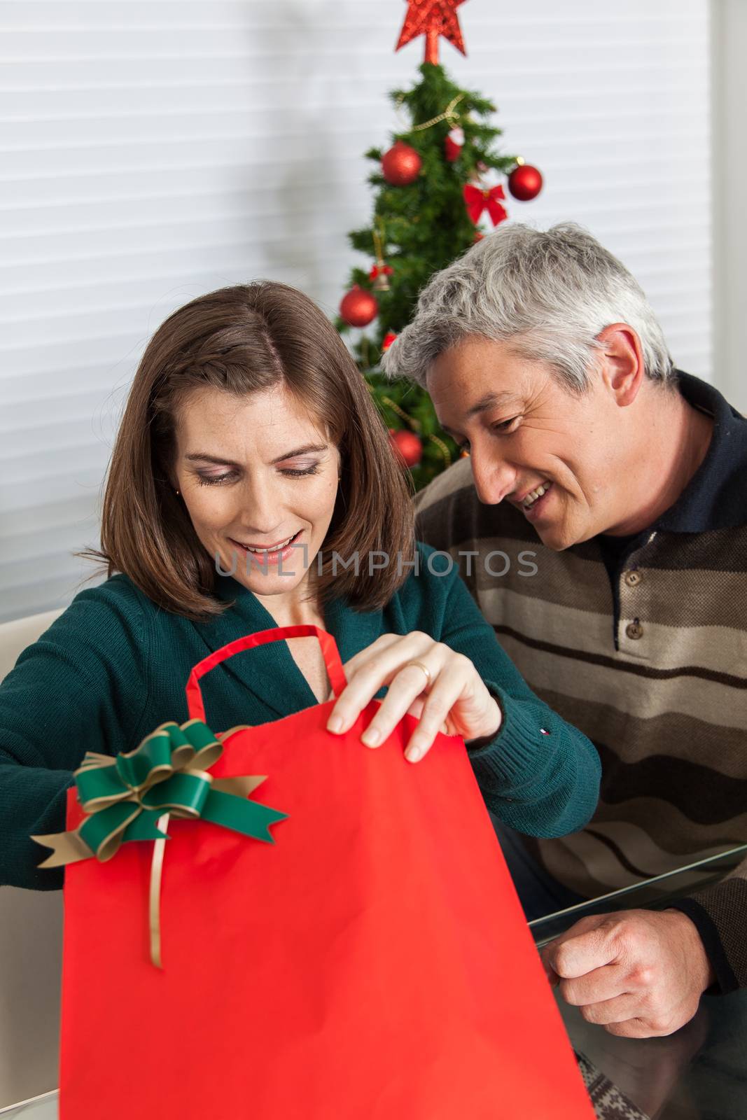 35-40, bag, caucasian, celebrating, celebration, cheerful, christmas, cute, ethnicity, female, festive, festivity, gift, giving, green, hand, happy, holding, joyful, love, male, man, merry, model, old, open, opening, person, present, pretty, property, red, release, smile, smiling, two, vertical, white, years, attractive