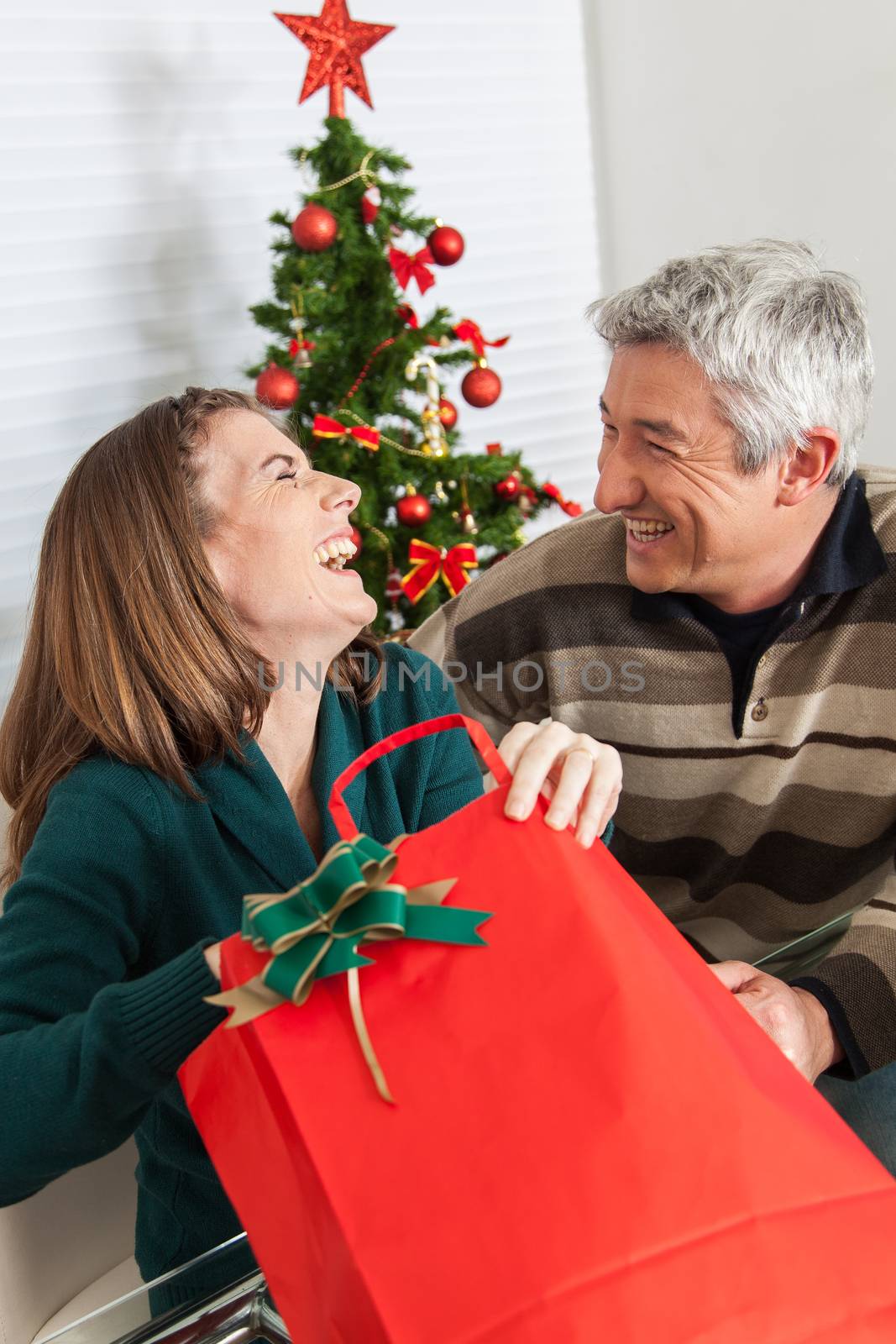 35-40, bag, beautiful, caucasian, celebrating, celebration, cheerful, christmas, cute, female, festive, festivity, gift, giving, green, hand, happy, holding, joyful, laughing, love, male, man, merry, model, old, open, opening, person, present, pretty, property, red, release, smile, smiling, two, vertical, warm, white, years
