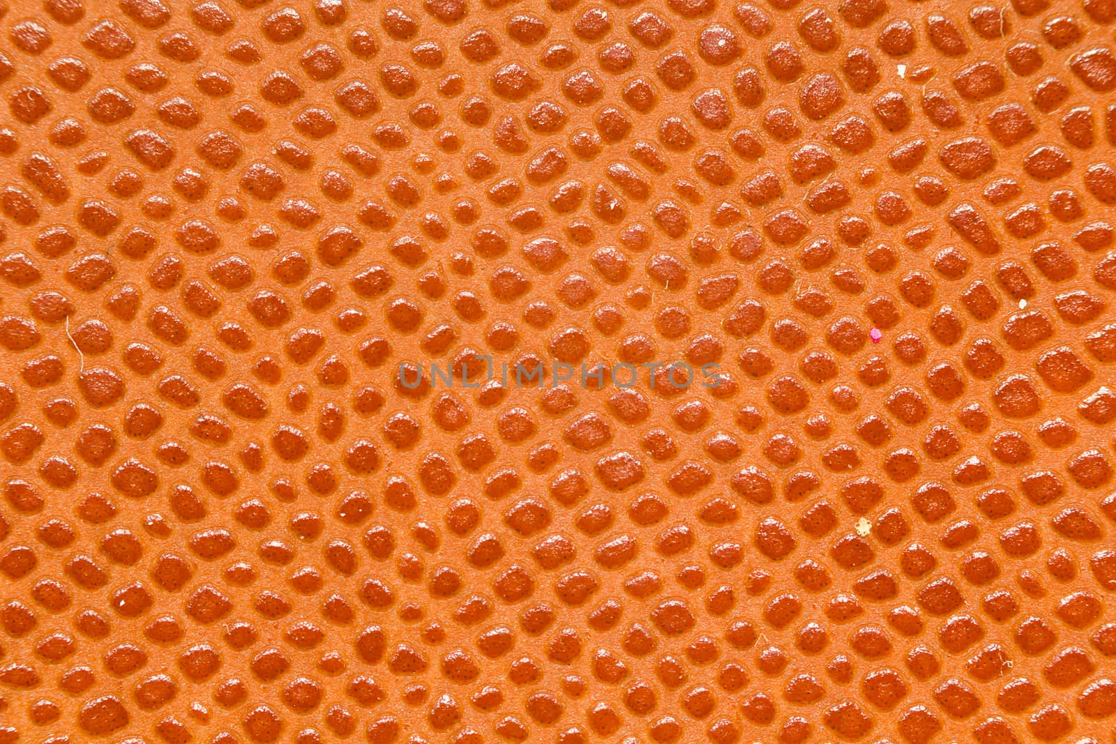 Artificial textured leather reptile close-up. horizontal shot
