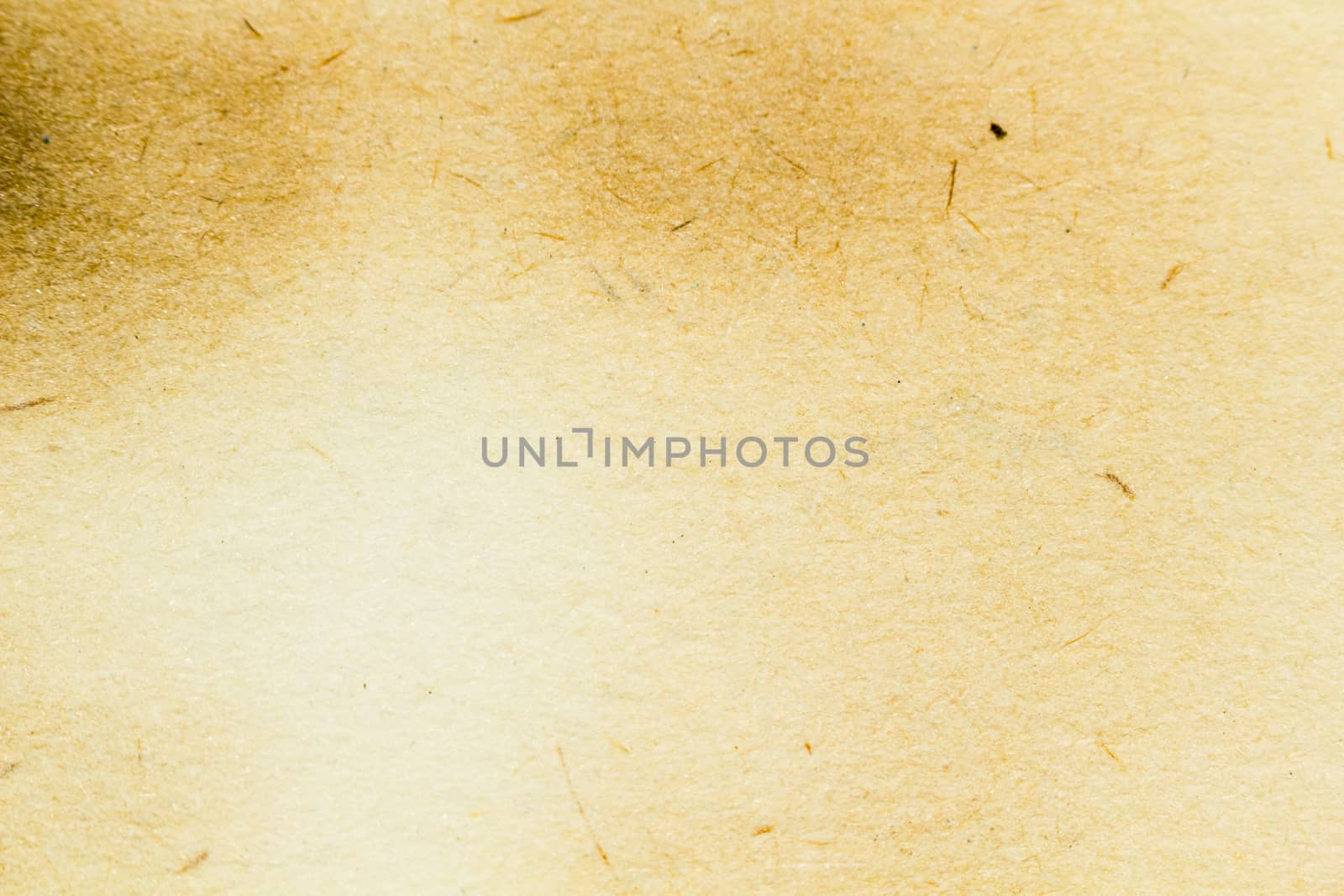 old yellowed paper with inclusions. Texture. abstract background