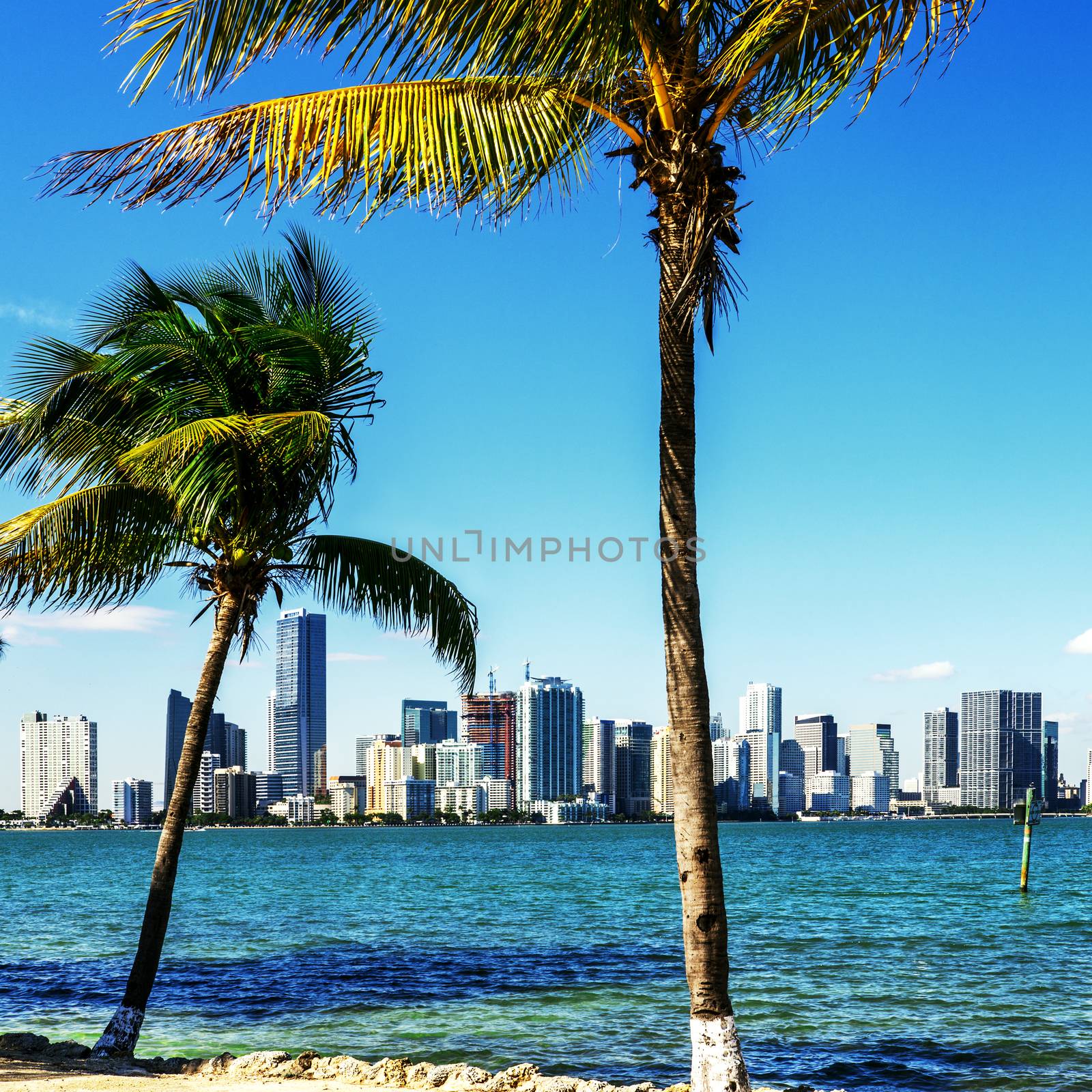 Miami Downtown skyline in daytime with Biscayne Bay.