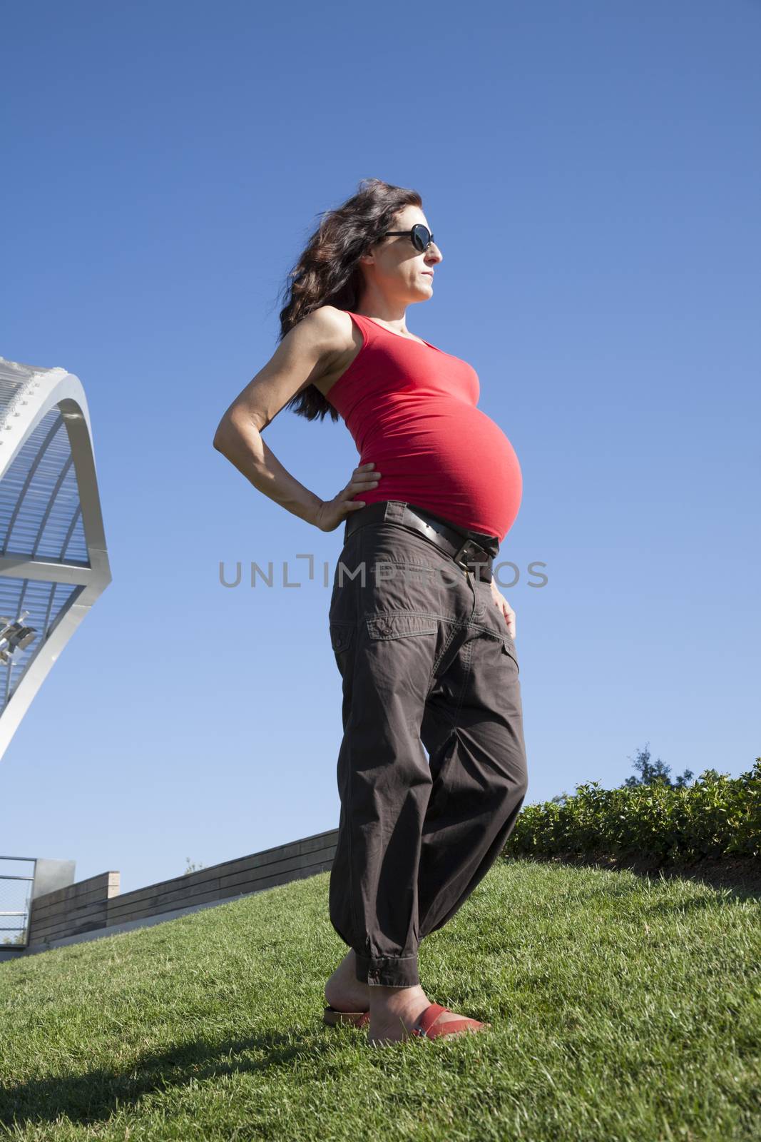 side pregnant woman stand at top of green hill