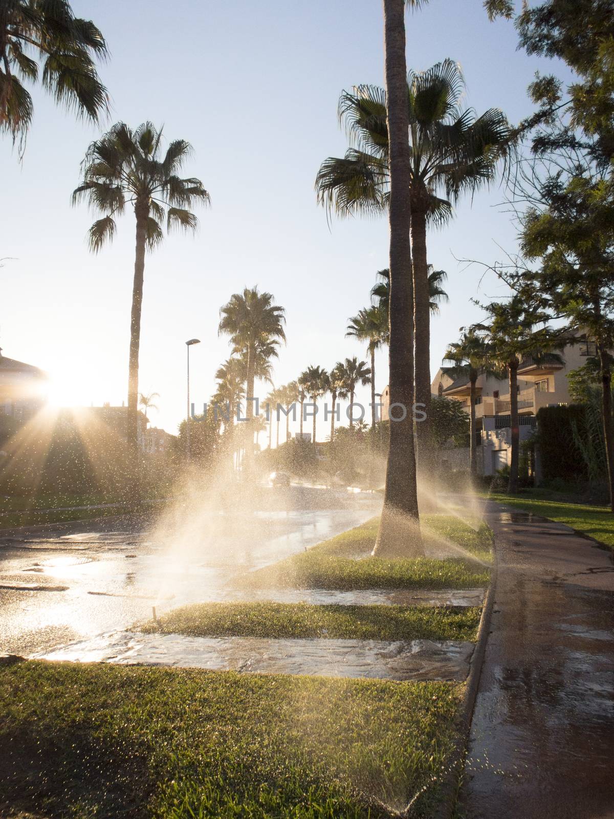 watering lawn at dawn street in Benalmadena Andalucia Spain