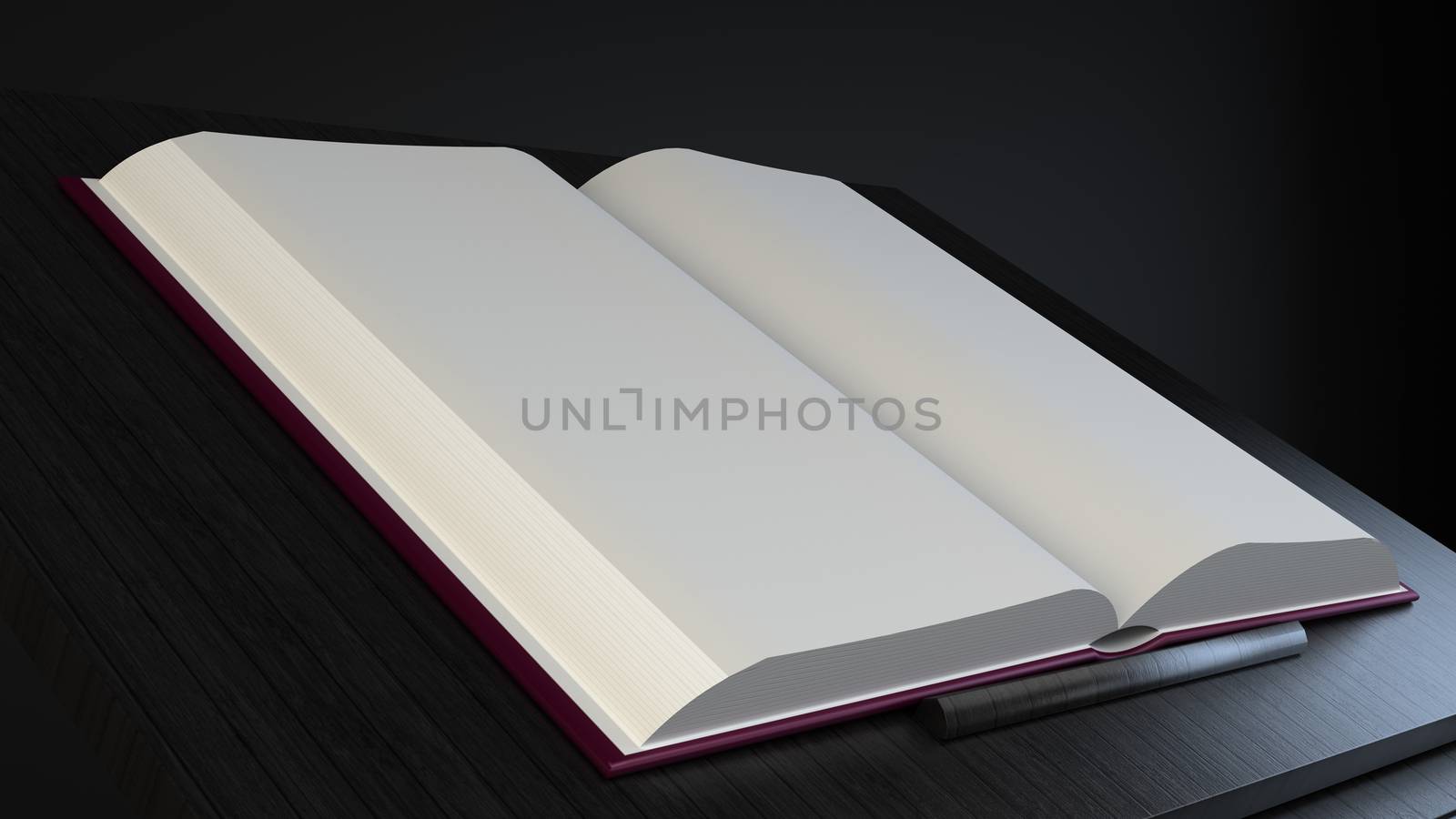 Pretty empty white book lying on black table