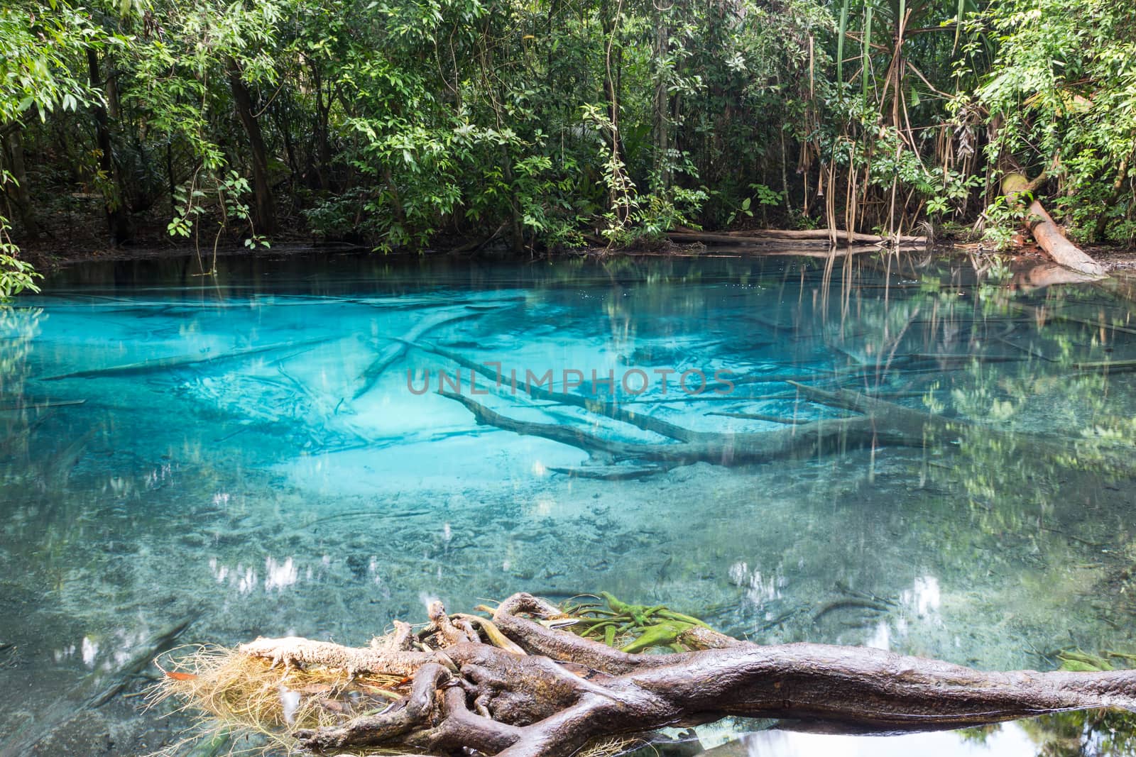 blue pool, travel location in krabi, thailand
