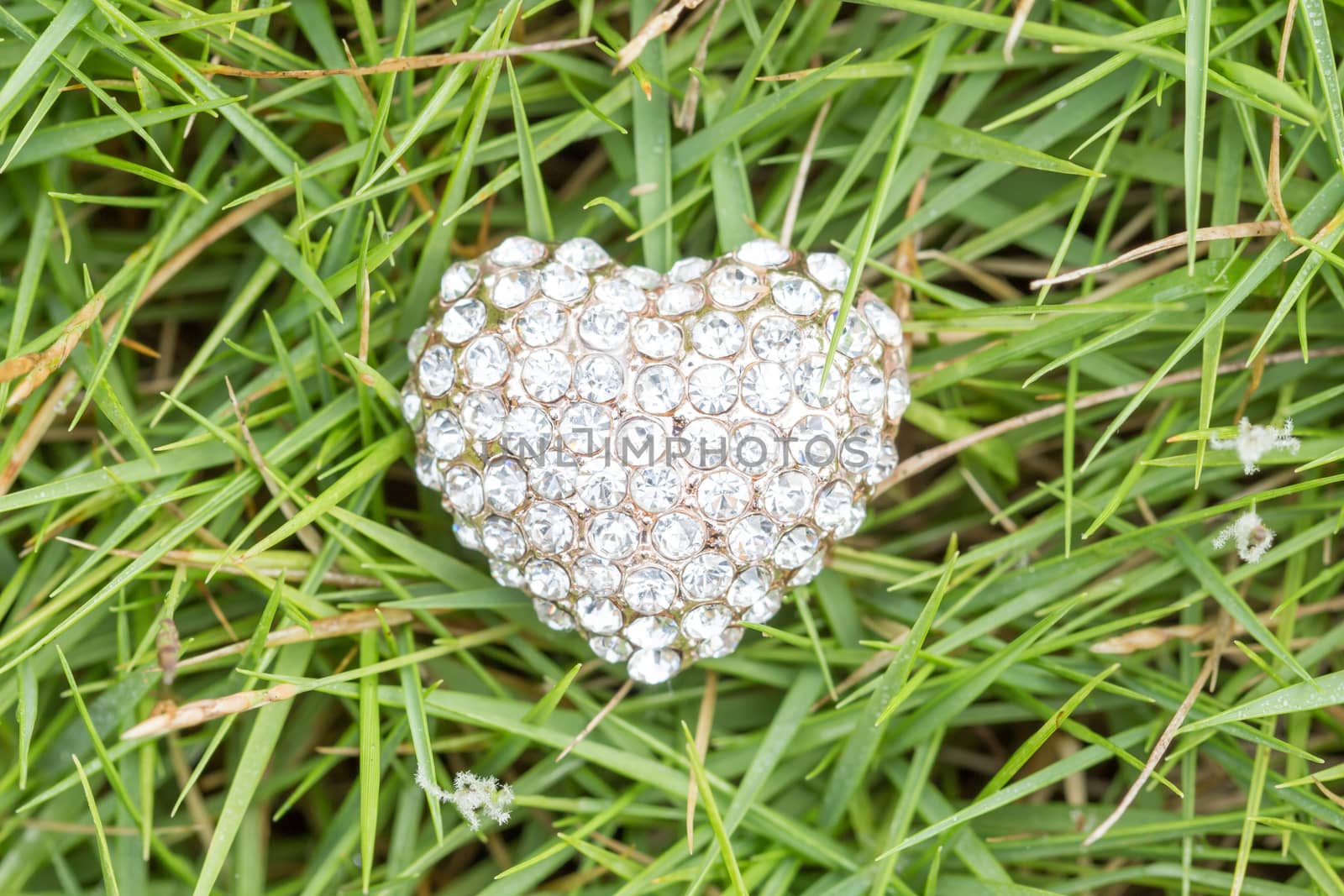 heart love jewelry on grass