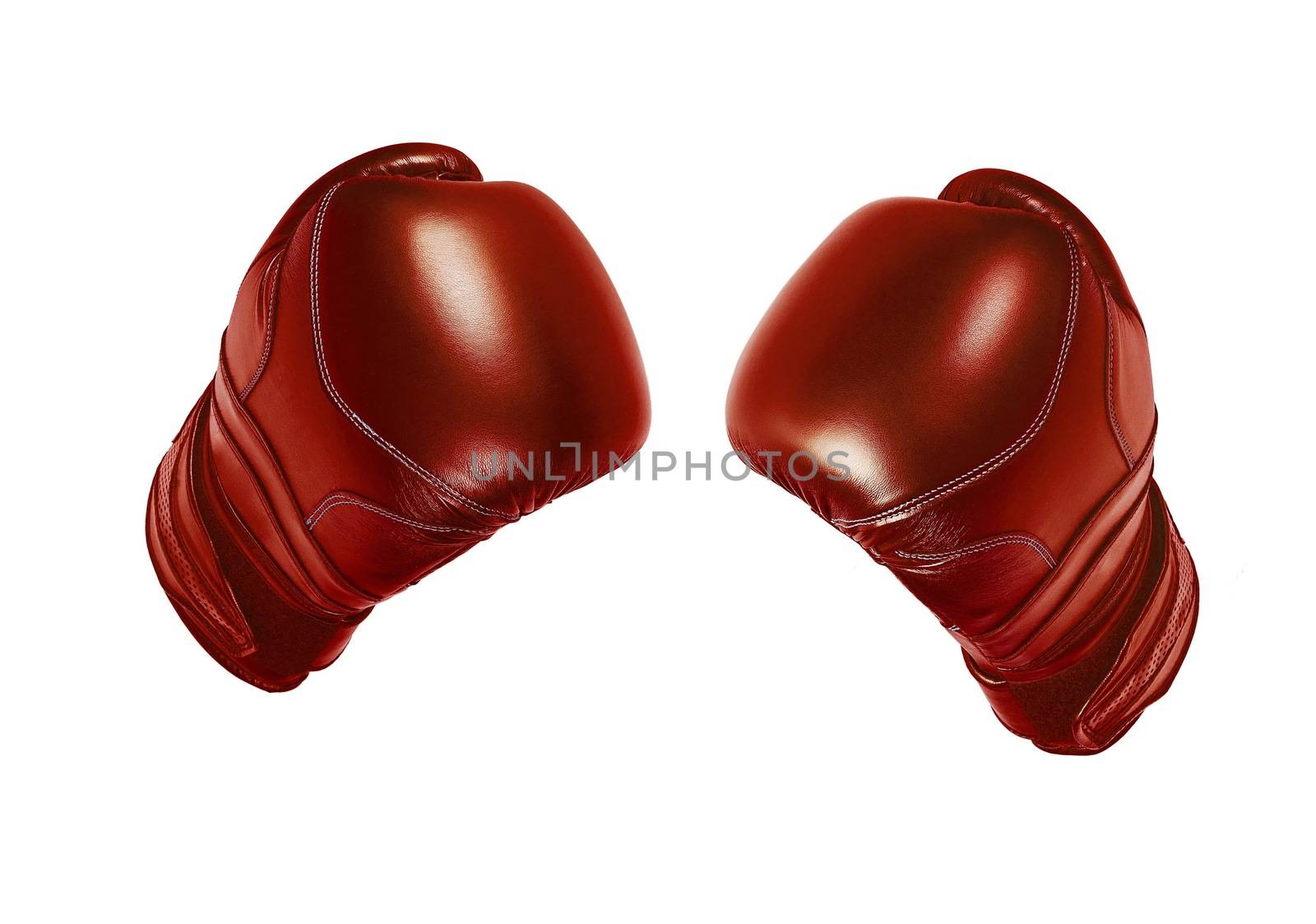Boxing gloves by Onigiristudio