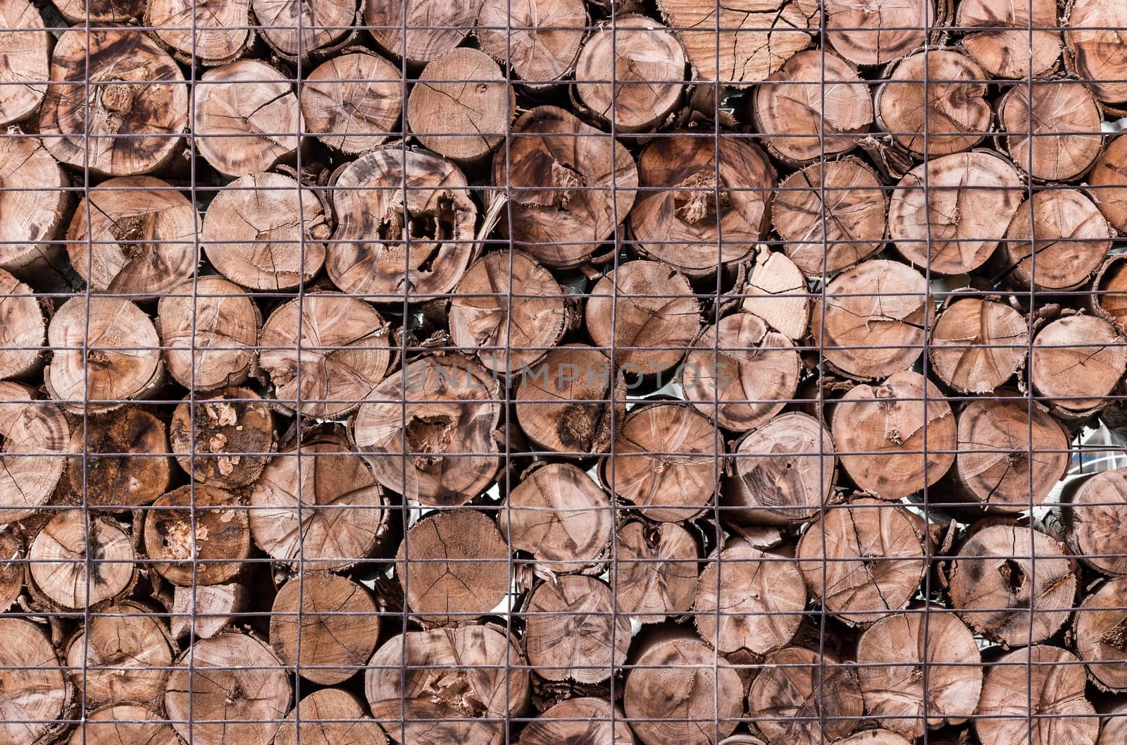 wood log background