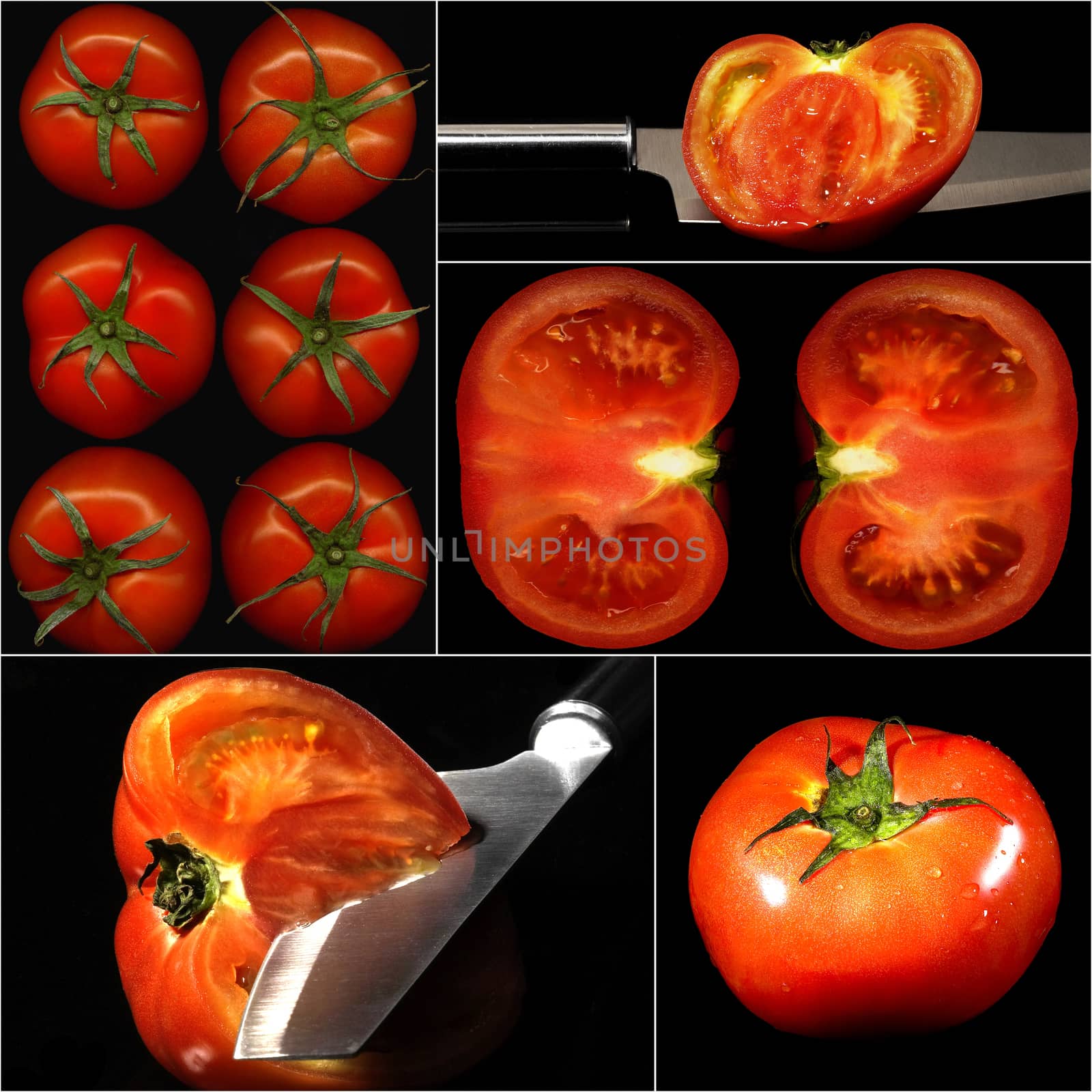 tomatoes collage composition nested on a black square frame