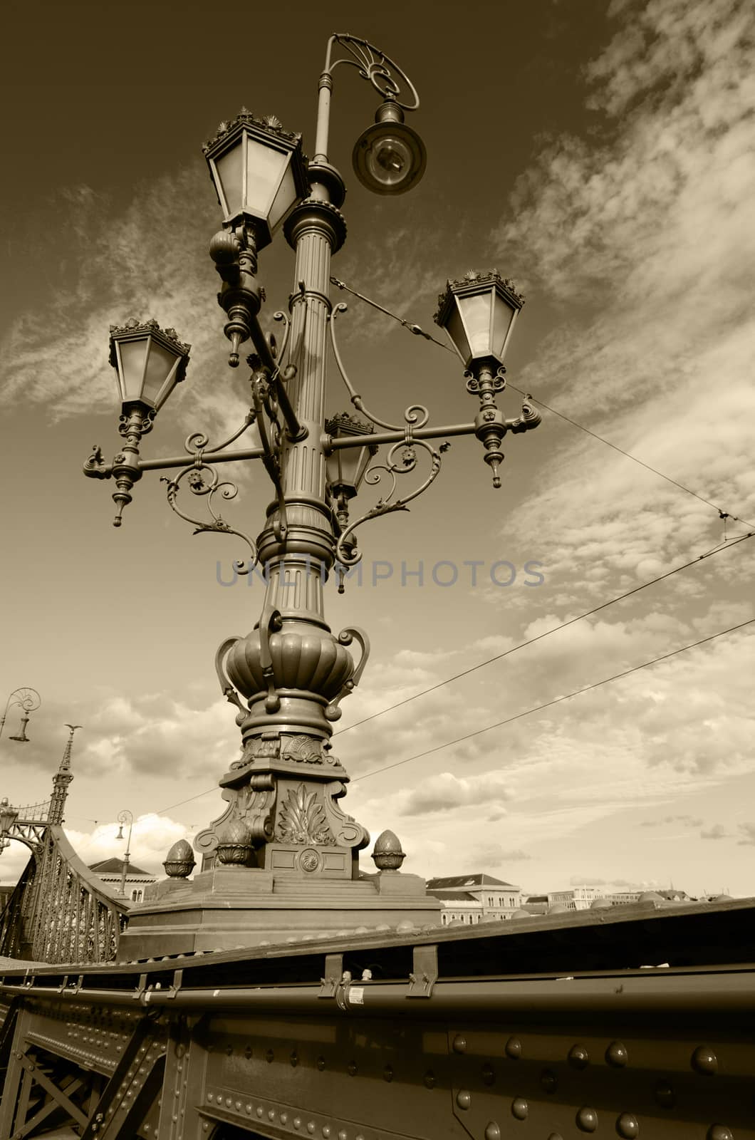 Szabadsag hid - Liberty bridge in Budapest, Hungary