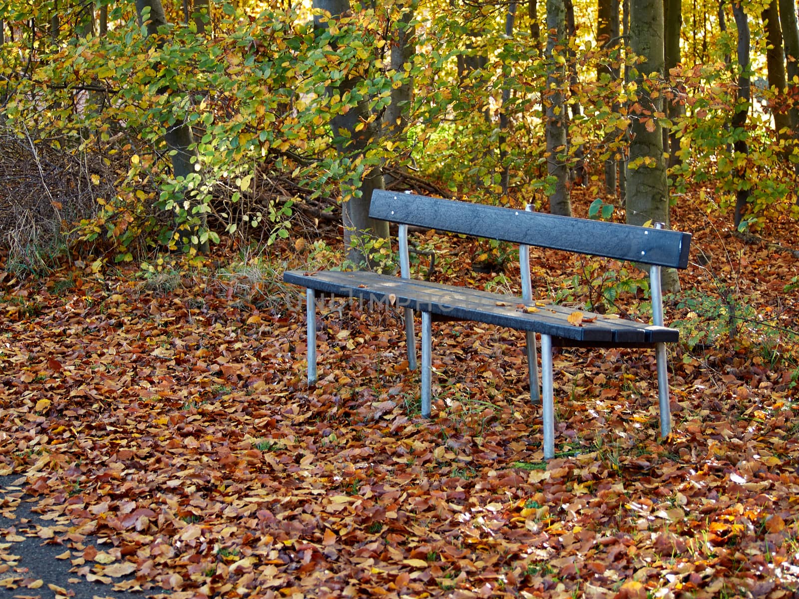 Beautiful classical design nature park garden metal bench seating corner    