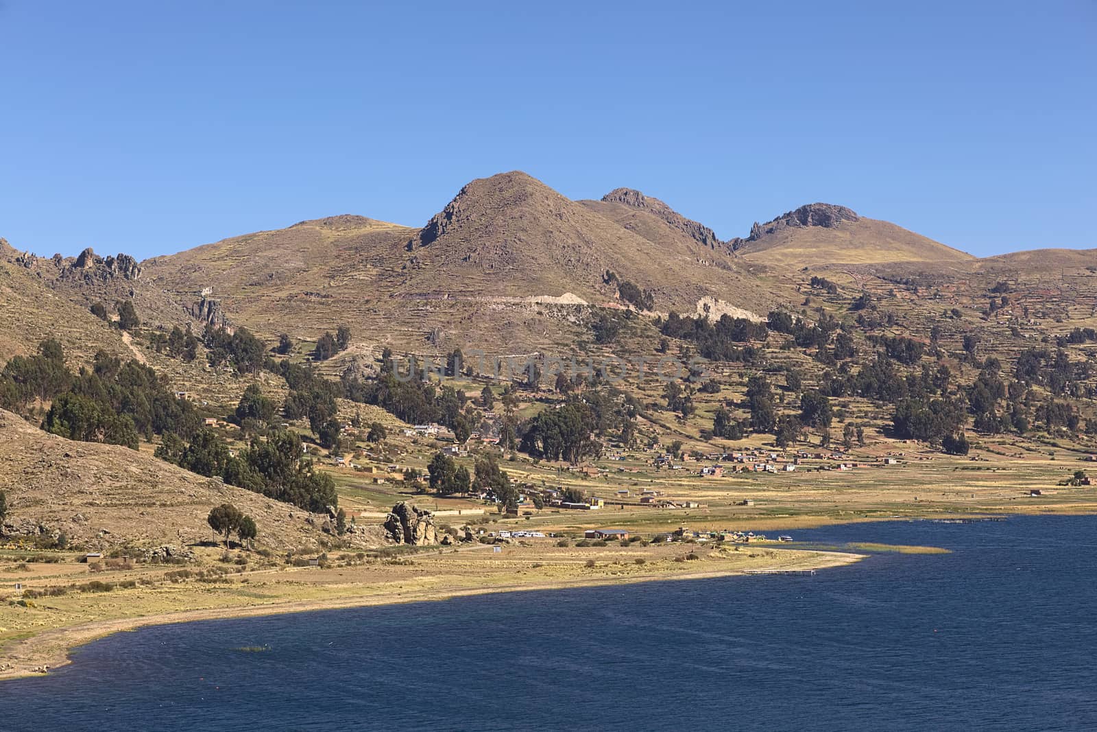 Rural landscape along the shore of Lake Titicaca close to the small tourist town of Copacabana in Bolivia