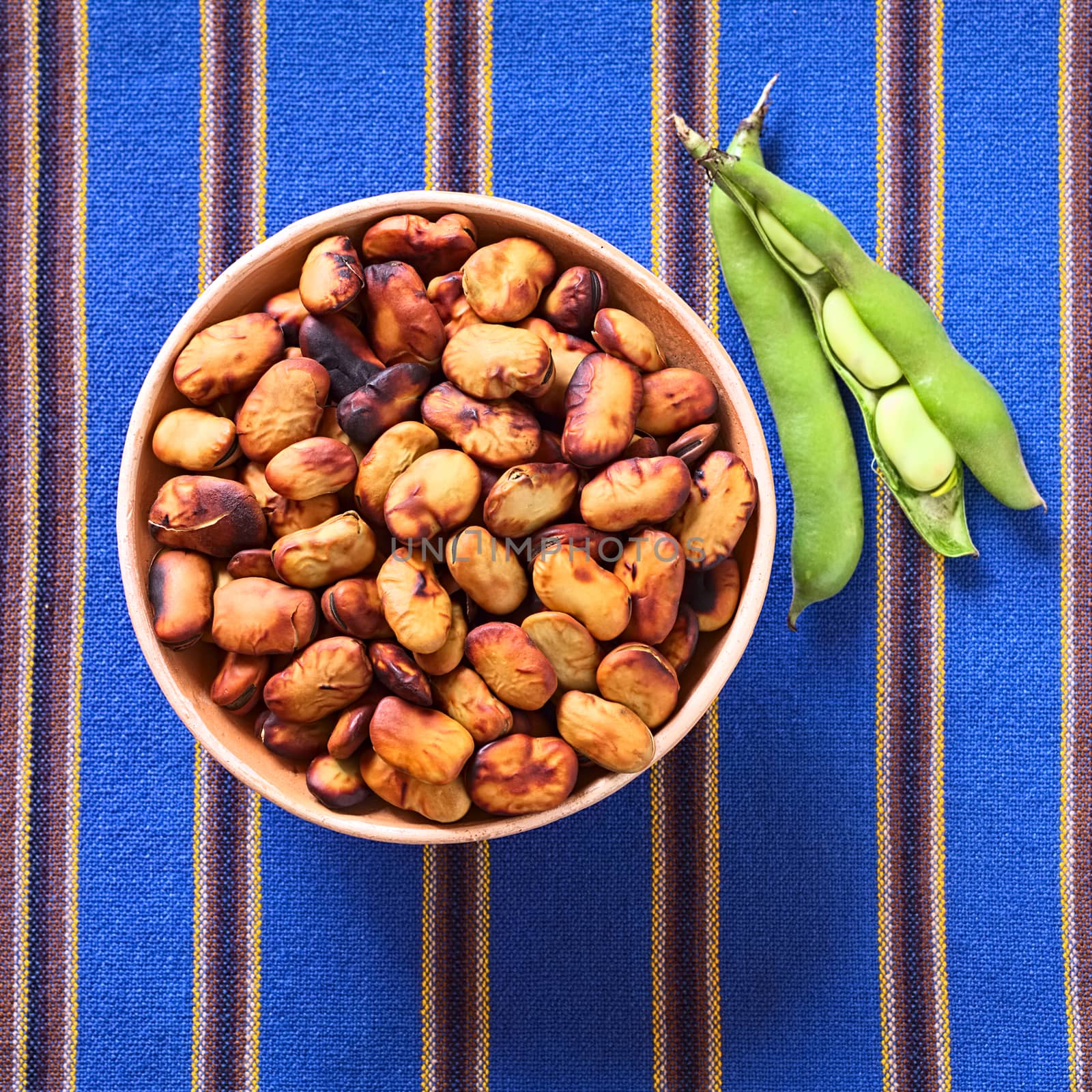 Toasted fava beans (lat. Vicia faba, South America: haba) eaten as snack in Bolivia, served in clay bowl with fresh green fava beans on the side, photographed with natural light (Selective Focus, Focus on the toasted beans)
