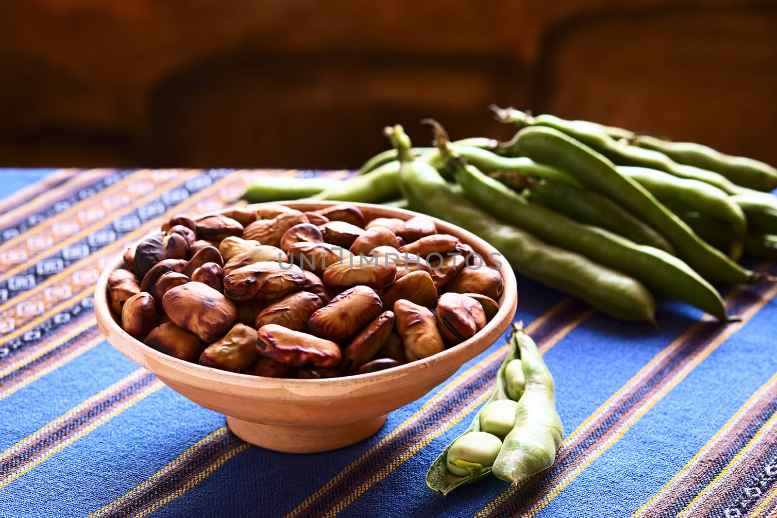 Toasted fava beans (lat. Vicia faba, South America: haba) eaten as snack in Bolivia, served in clay bowl with fresh green fava beans on the side and in the back, photographed with natural light (Selective Focus, Focus one third into the toasted beans)