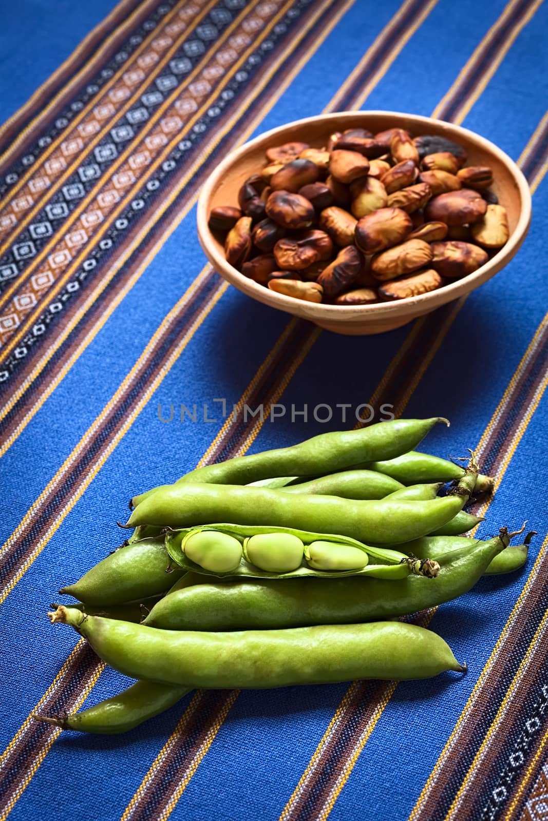 Fresh raw fava beans (lat. Vicia faba, South America: haba) with roasted habas in the back, photographed with natural light (Selective Focus, Focus on the open bean pod) 