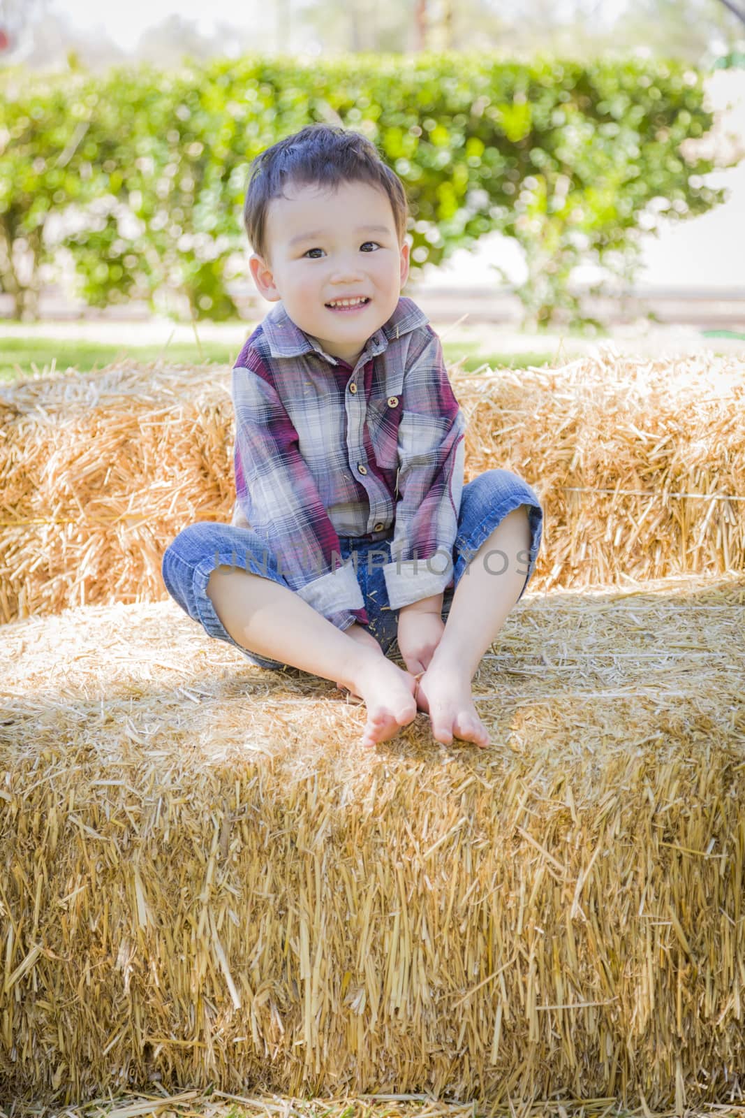 Cute Young Mixed Race Boy Having Fun on Hay Bale Outside.